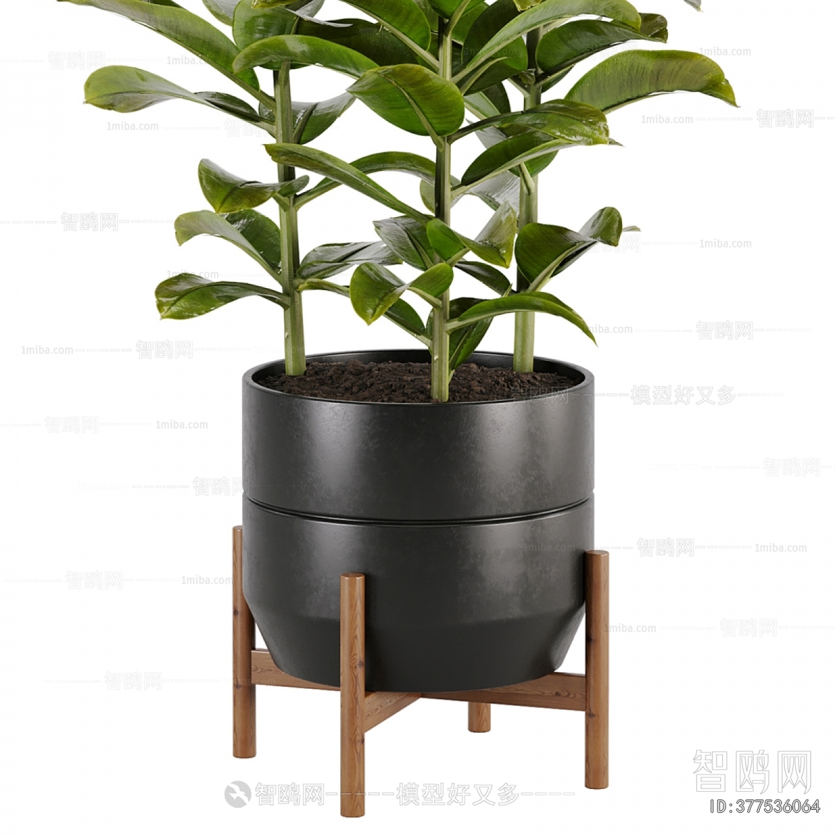 Modern Ground Green Plant Potted Plants