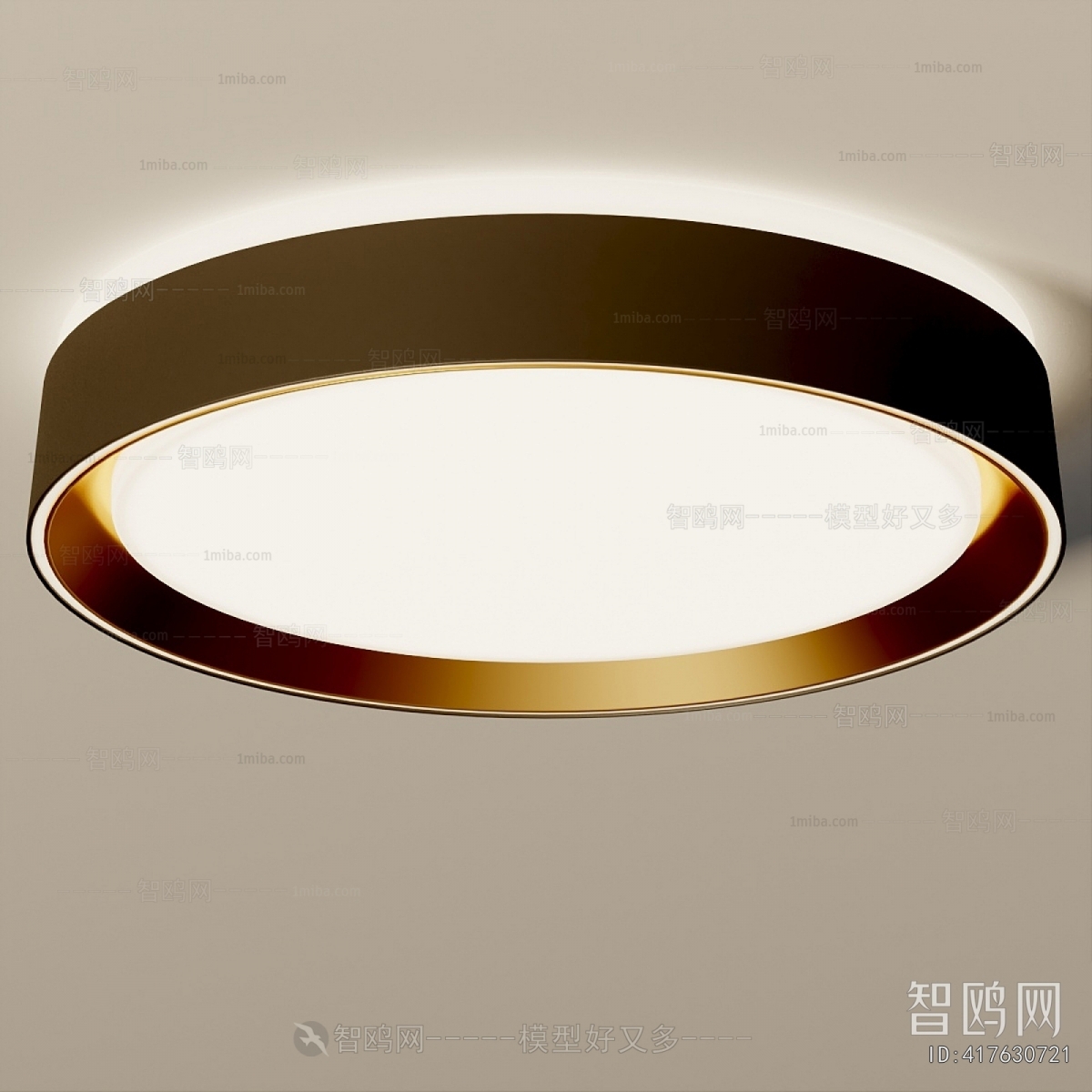 Modern Ceiling Ceiling Lamp