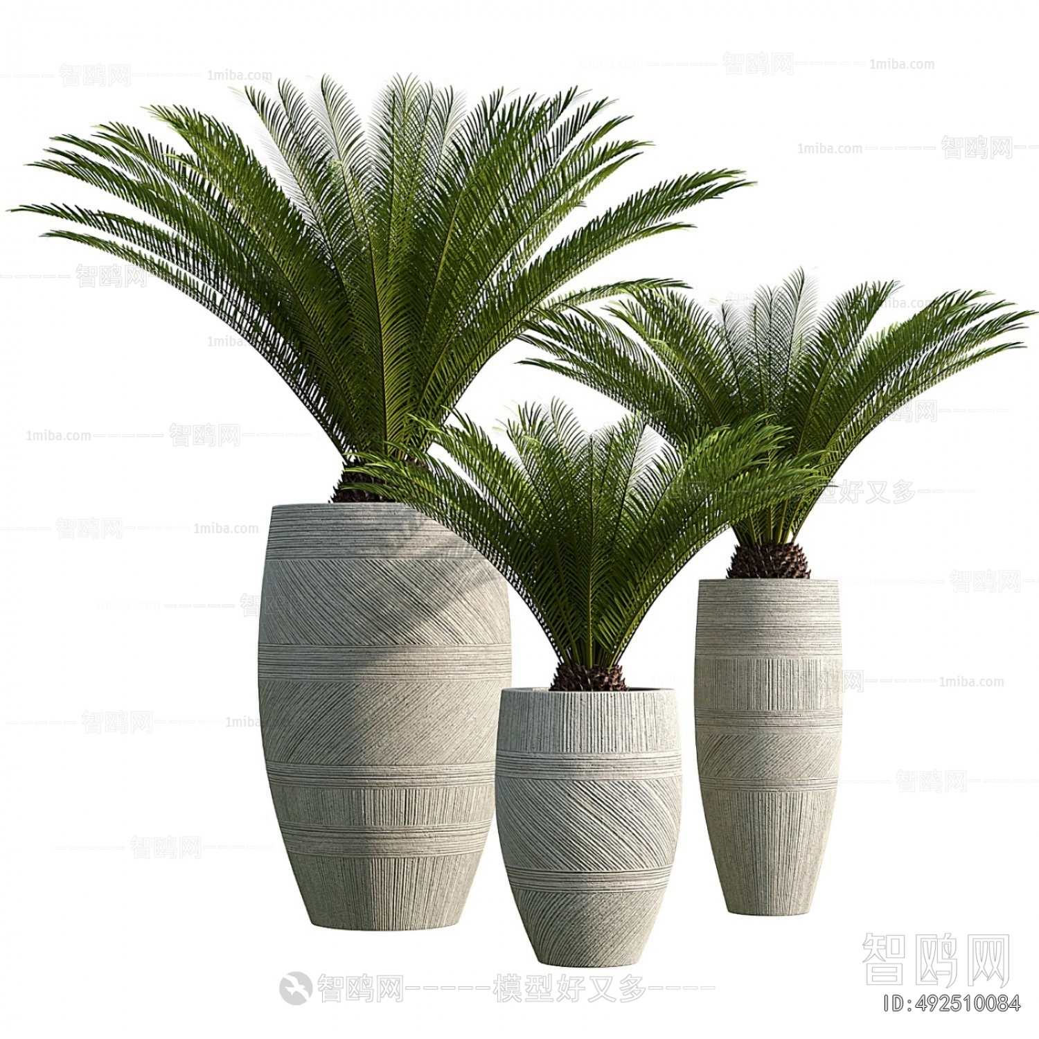Modern Ground Green Plant Potted Plants