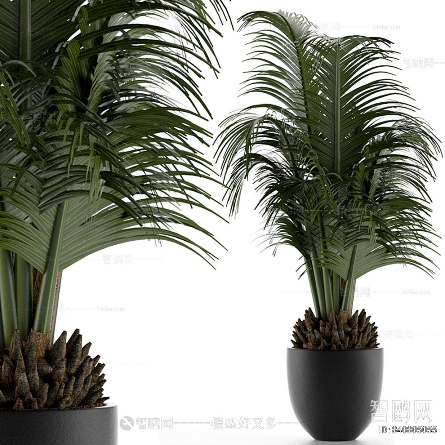 Modern Ground Green Plant Potted Plants