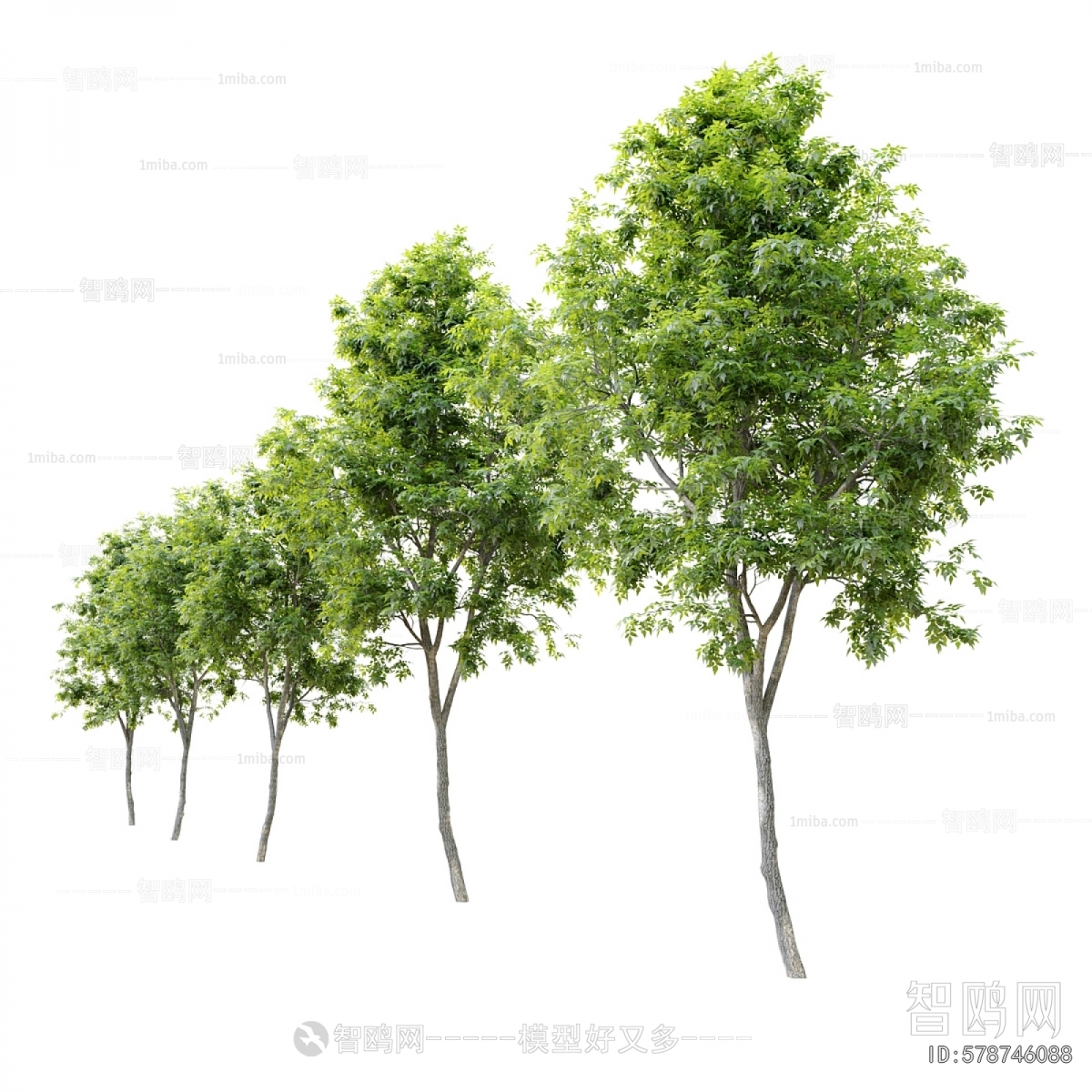 Modern Tree