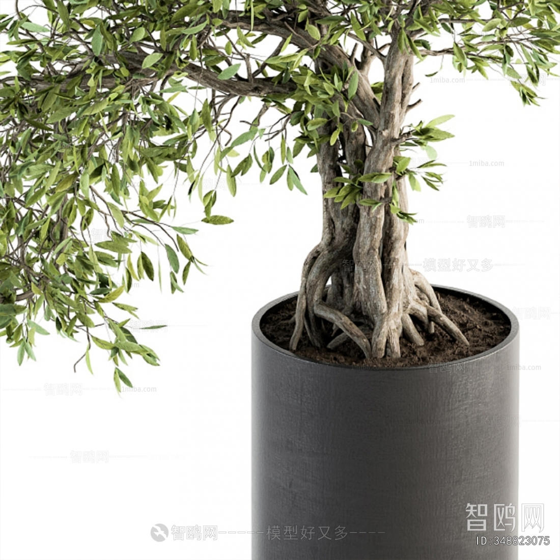 Modern Ground Green Plant Potted Plants