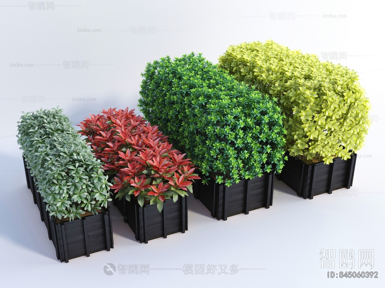 Modern Shrubbery