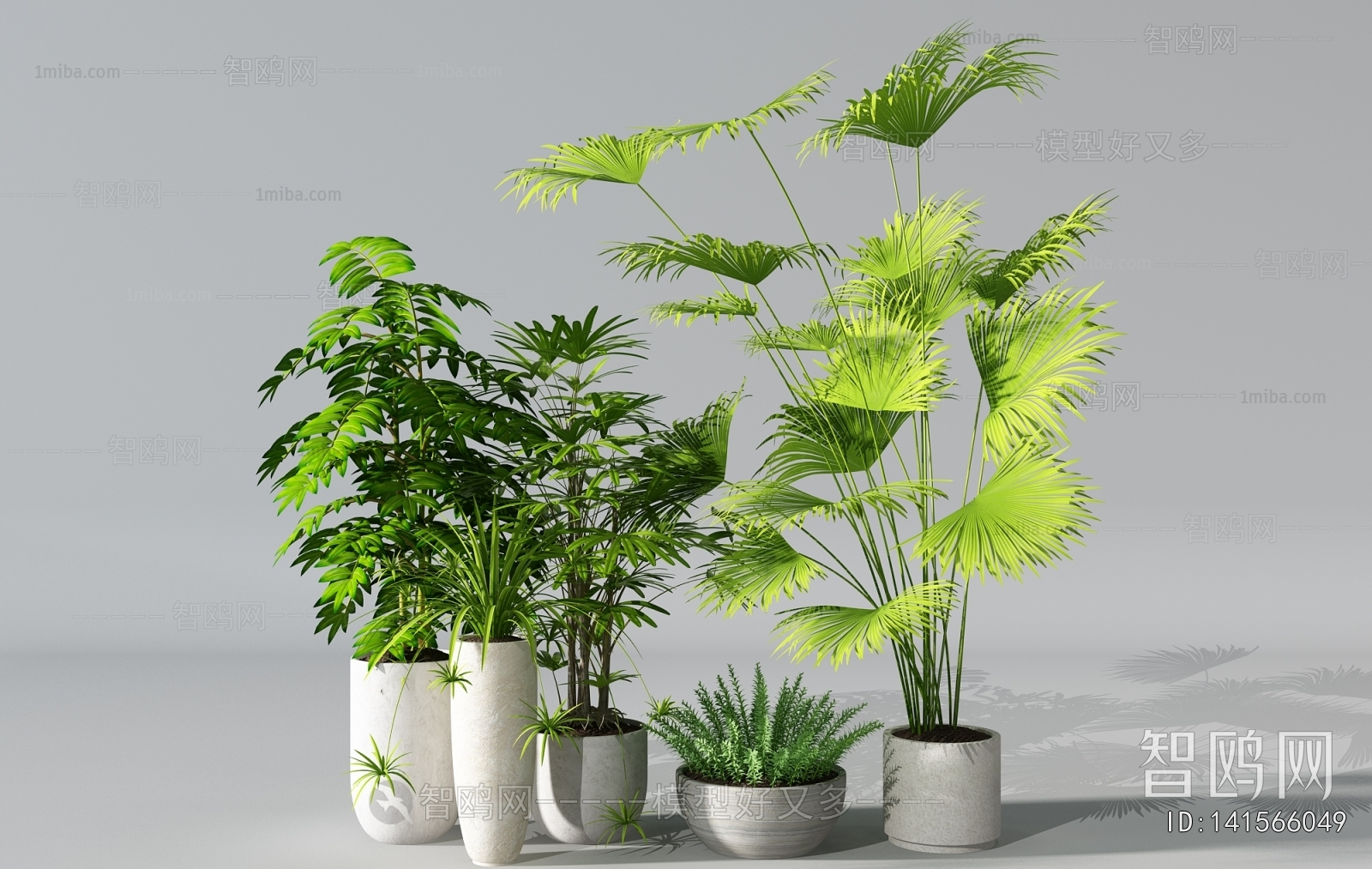 Modern Ground Green Plant Potted Plants