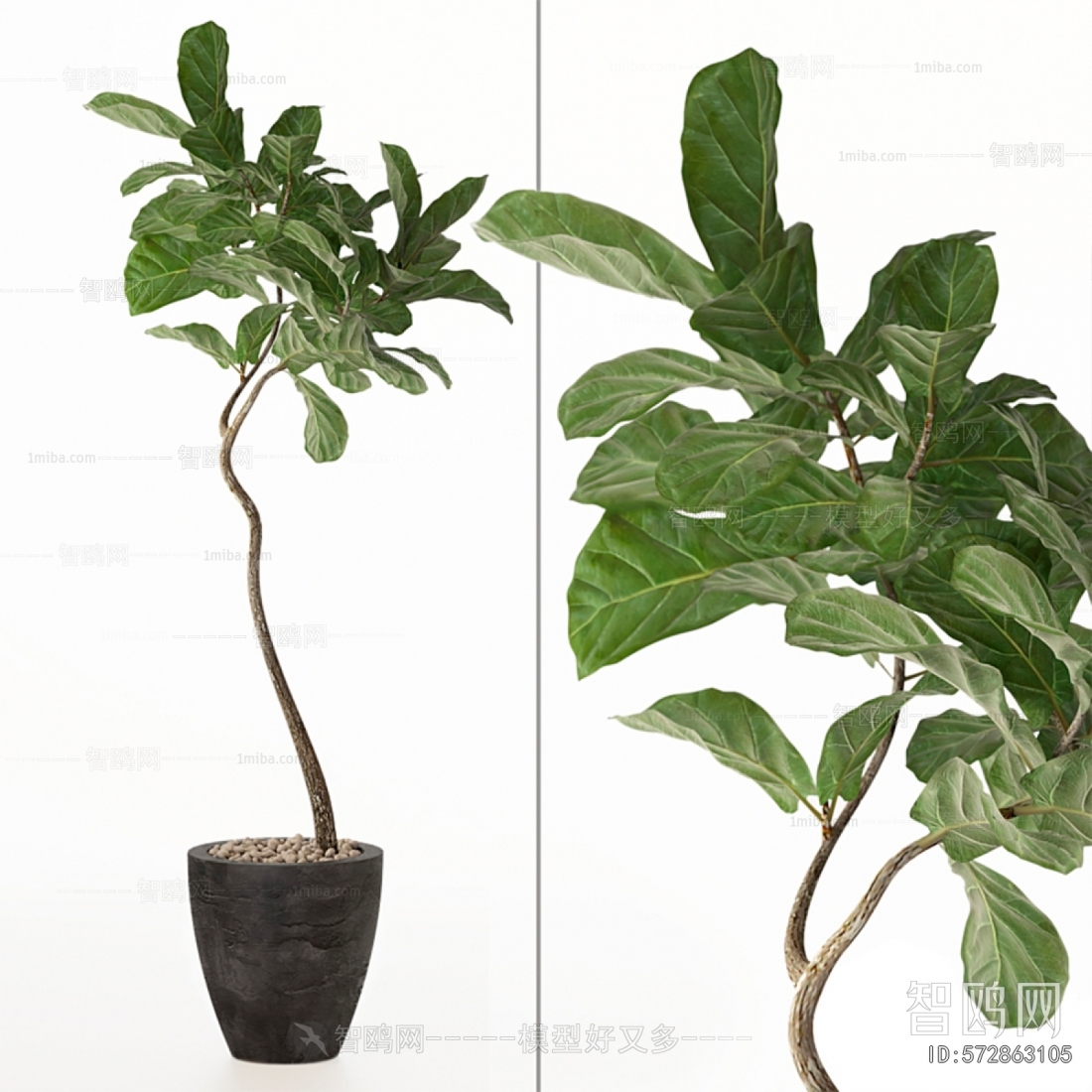 Modern Ground Green Plant Potted Plants