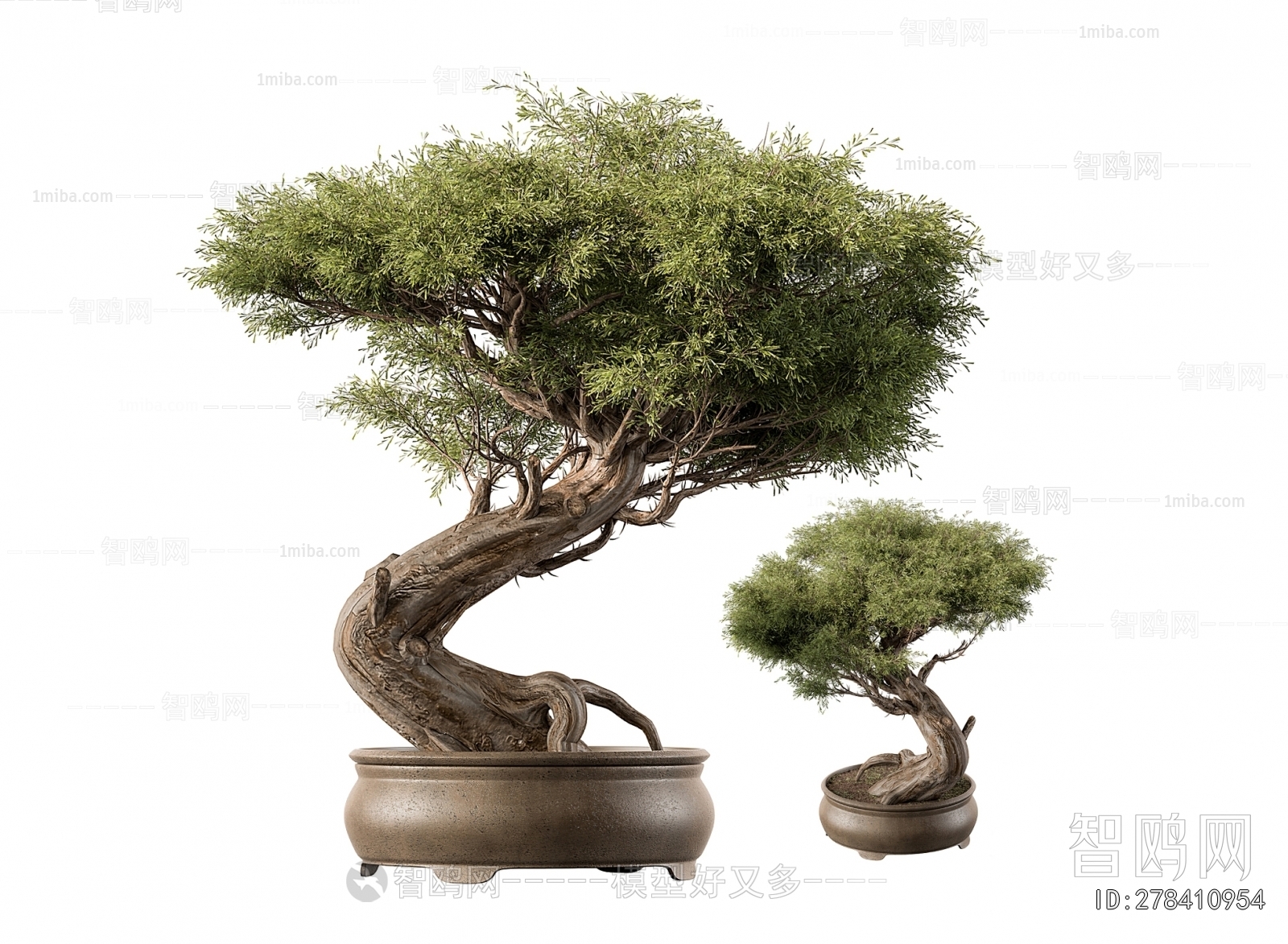 Modern Bonsai