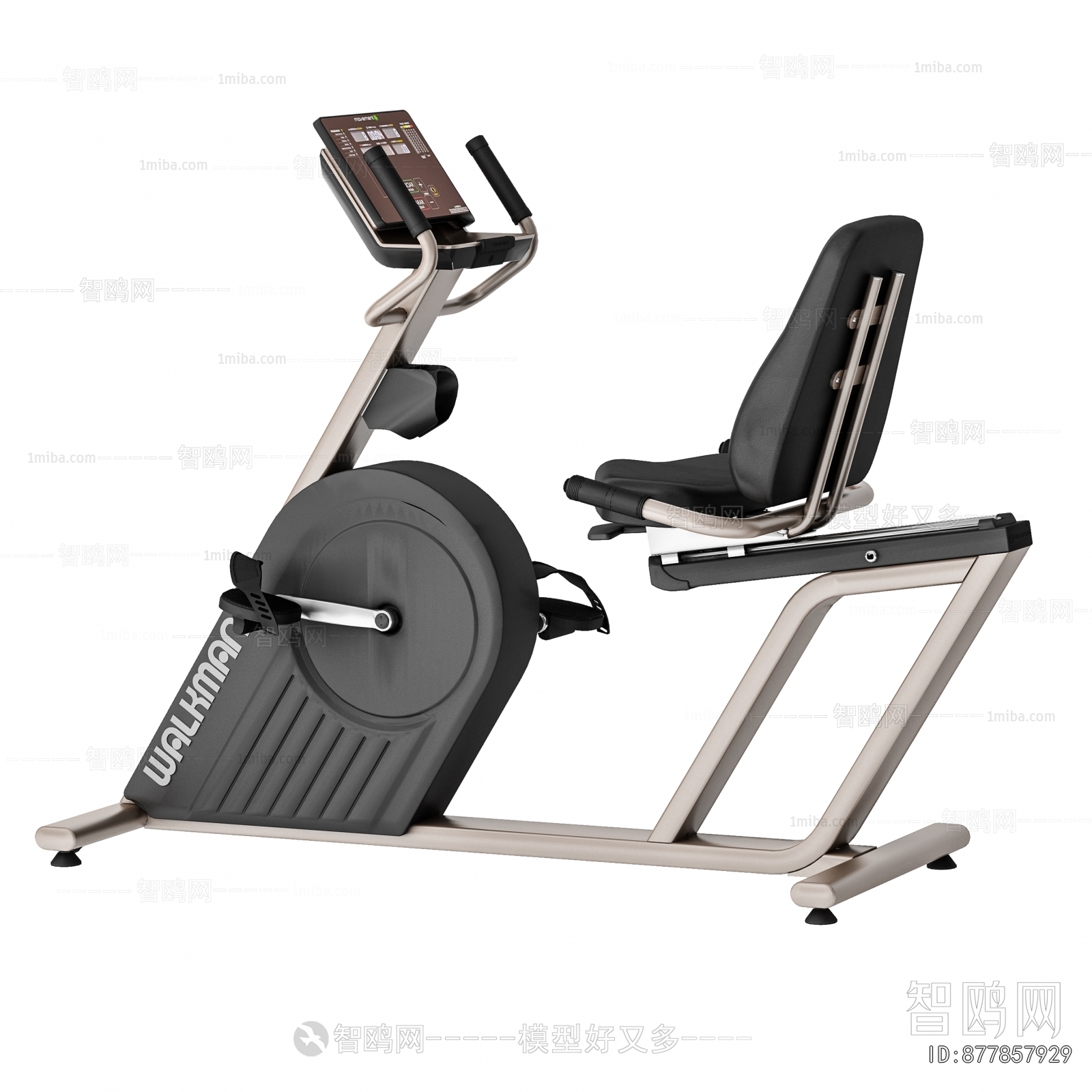 Modern Fitness Equipment