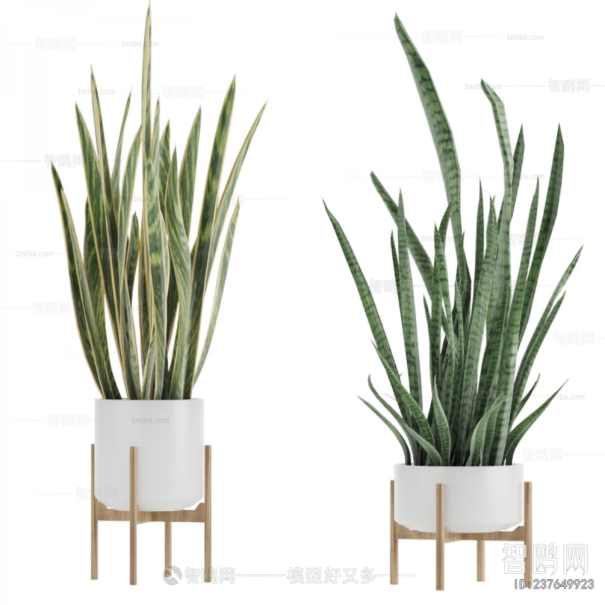Modern Potted Green Plant