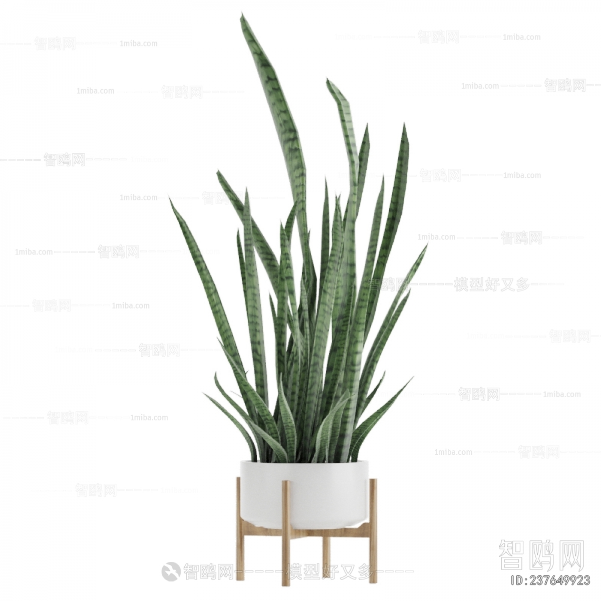 Modern Potted Green Plant