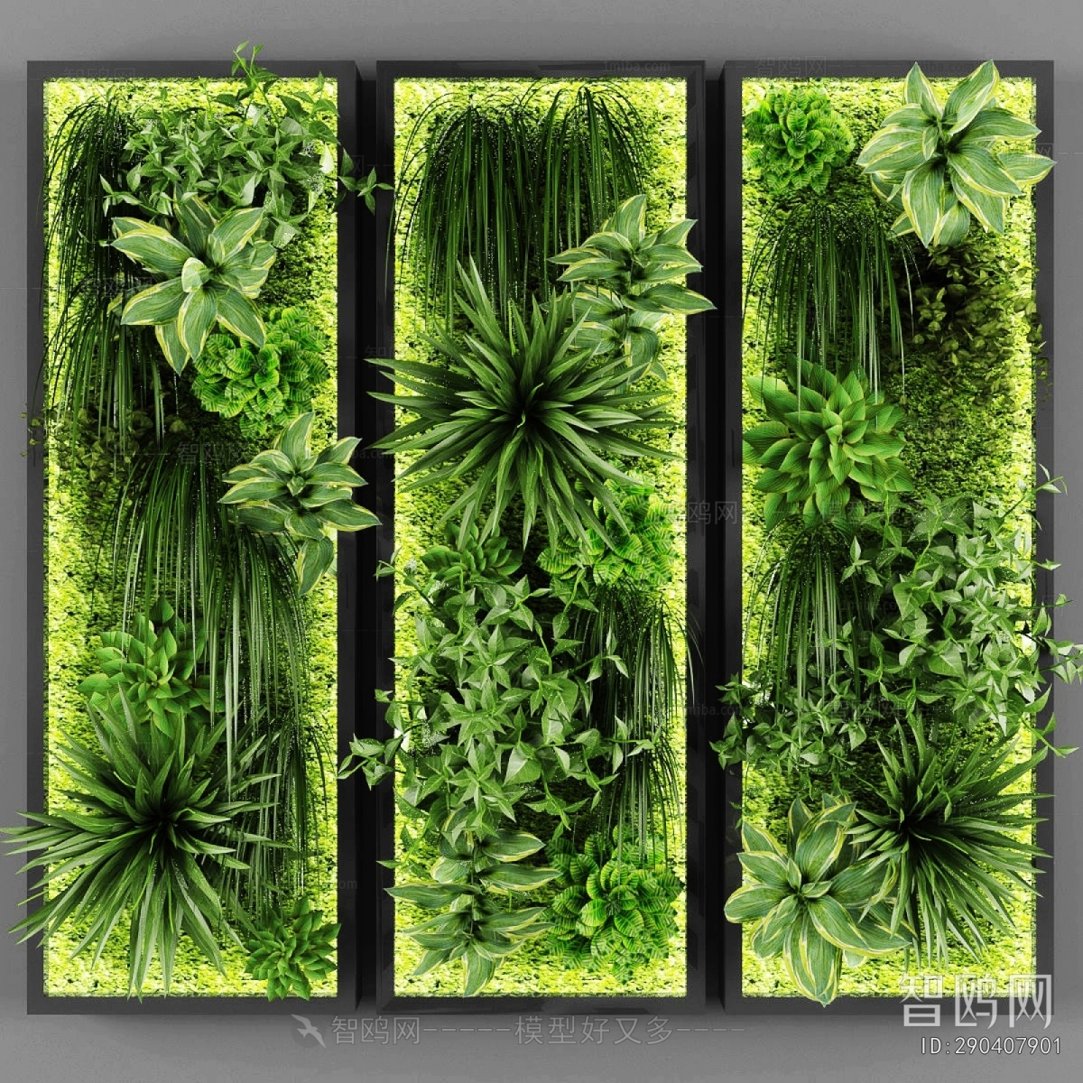 Modern Plant Wall