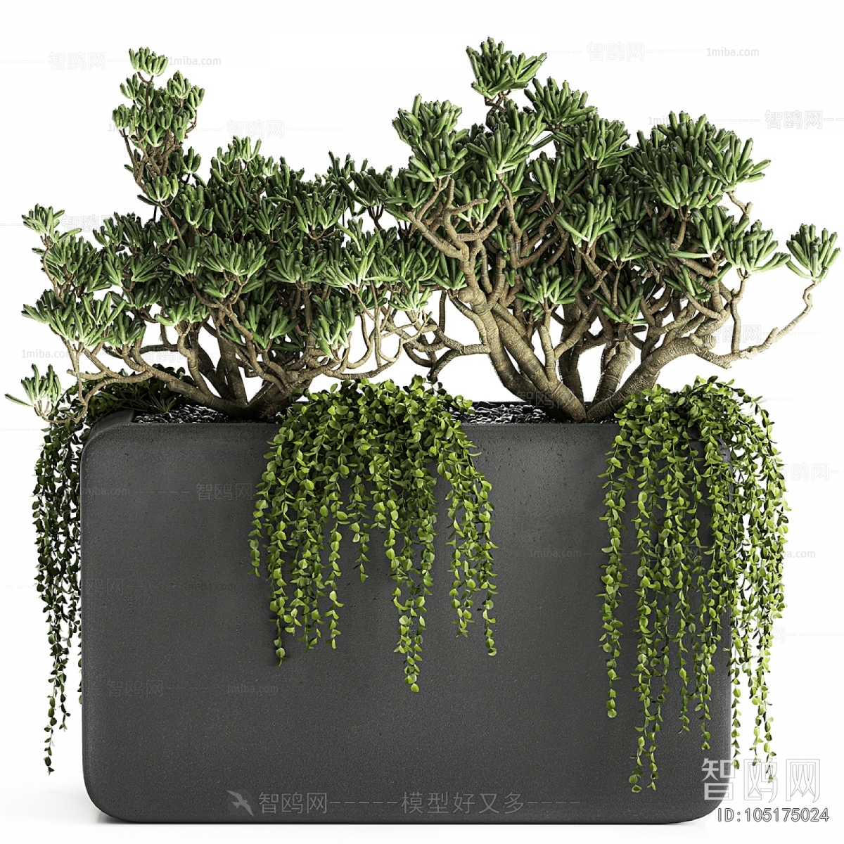 Modern Flower Bed, Flower Bowl, Flower Box