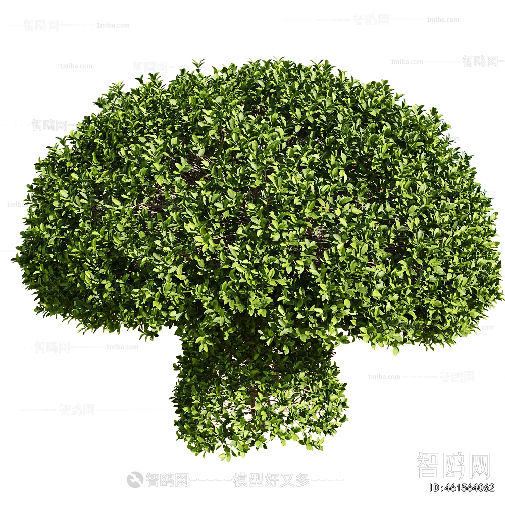 Modern Shrubbery