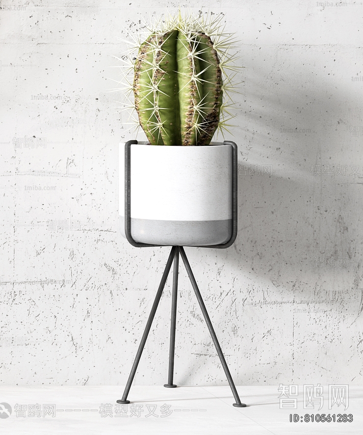 Modern Ground Green Plant Potted Plants