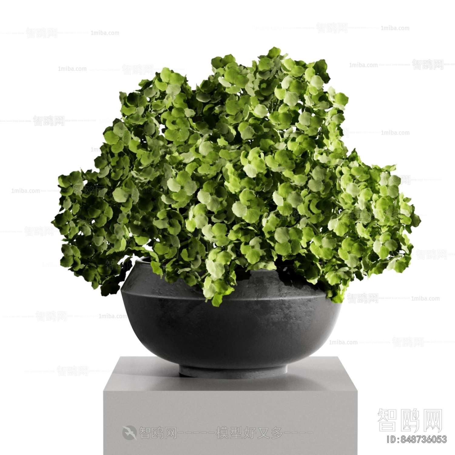 Modern Potted Green Plant