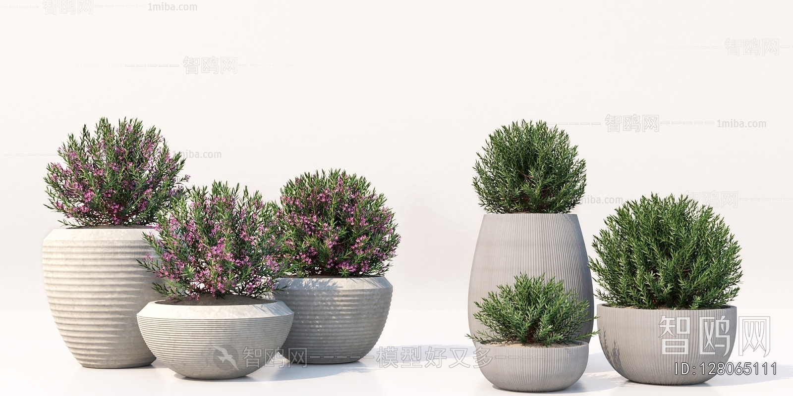 Modern Flower Bed, Flower Bowl, Flower Box