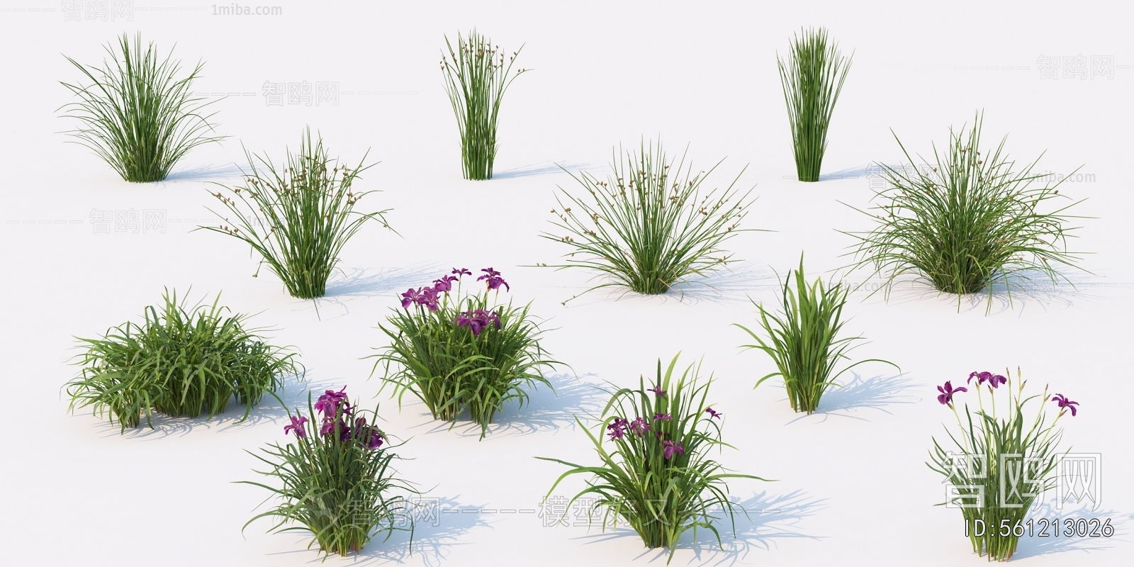 Modern Flowers And Grass