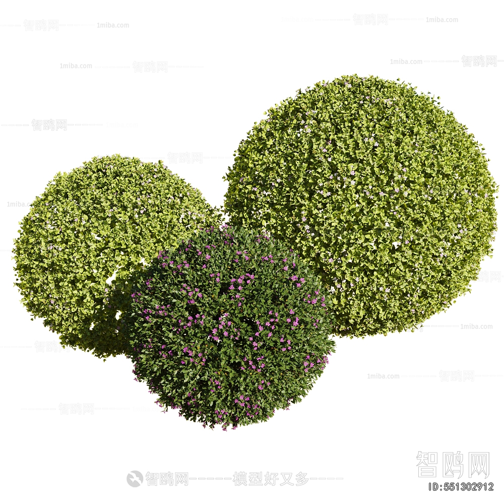 Modern Shrubbery