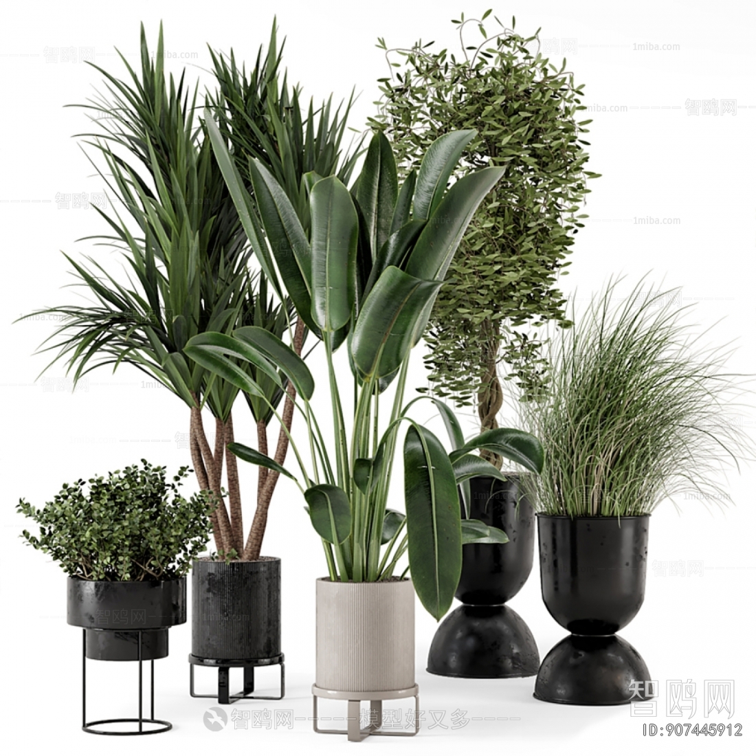 Modern Potted Green Plant