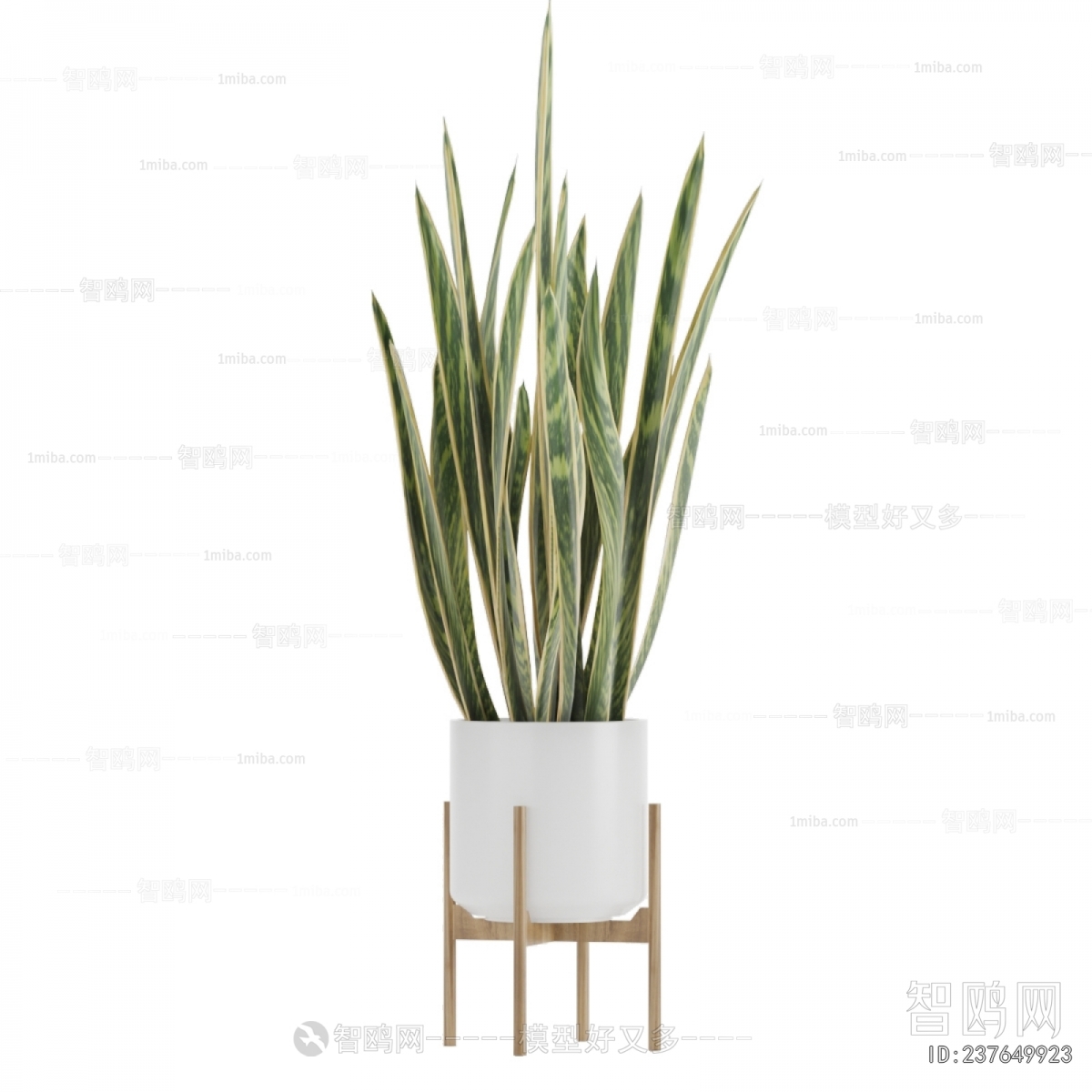Modern Potted Green Plant