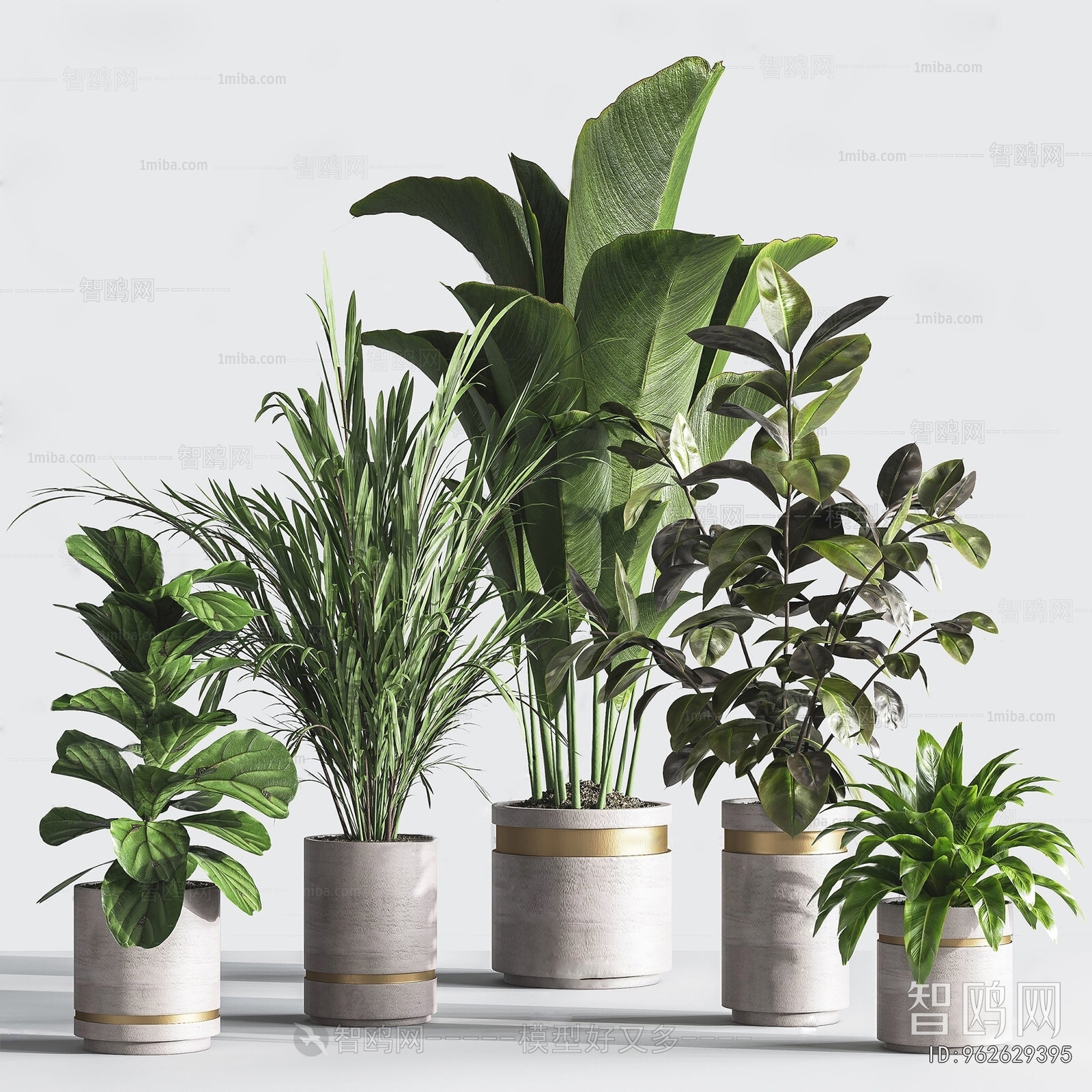 Modern Ground Green Plant Potted Plants