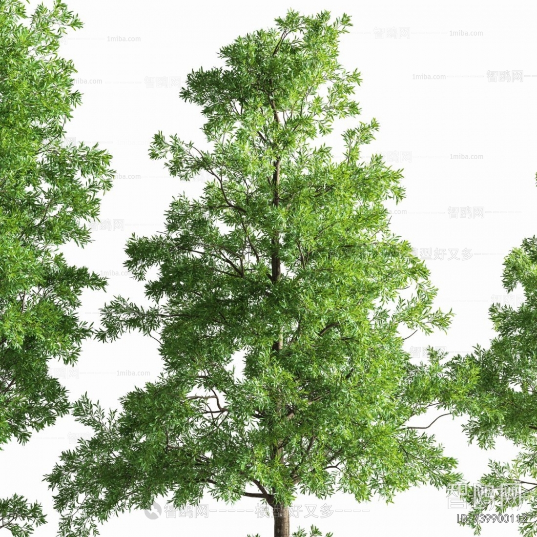 Modern Tree