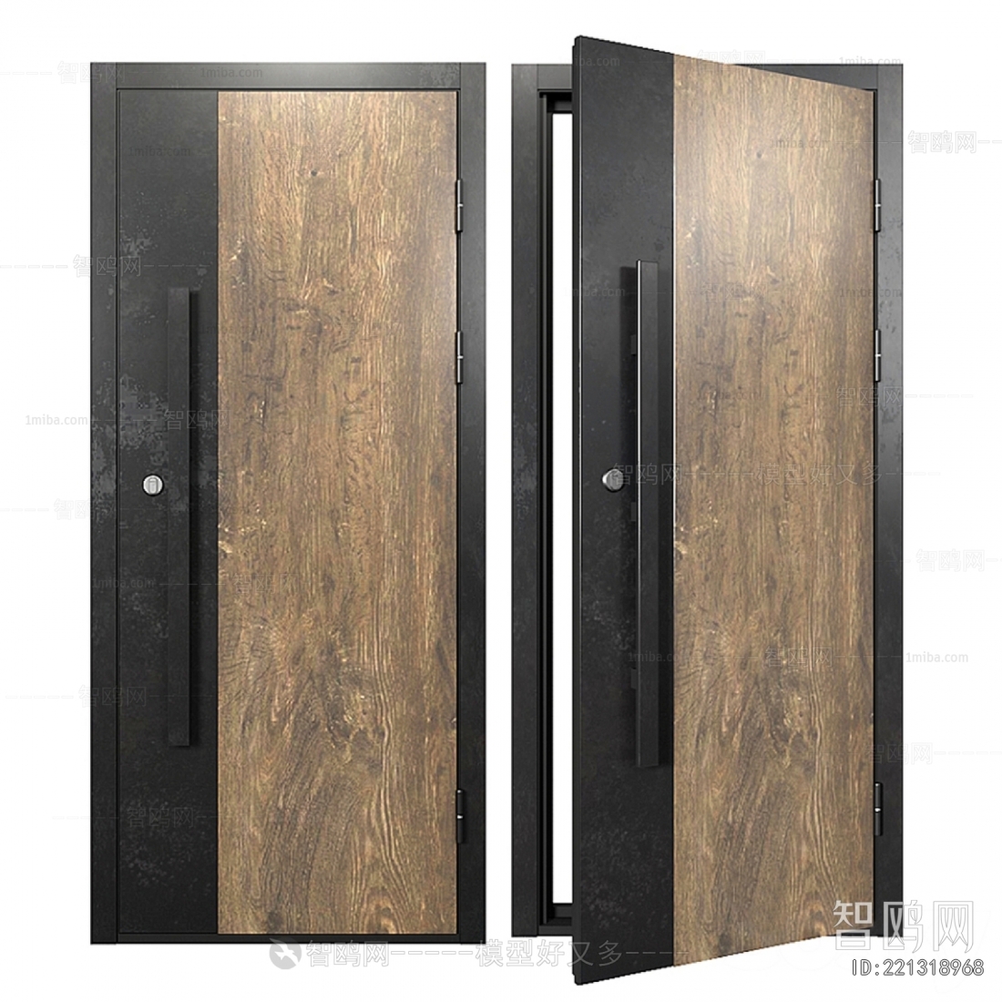 Modern Single Door