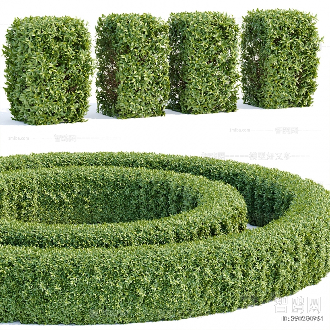 Modern Shrubbery