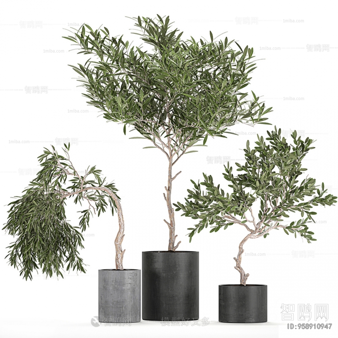 Modern Ground Green Plant Potted Plants