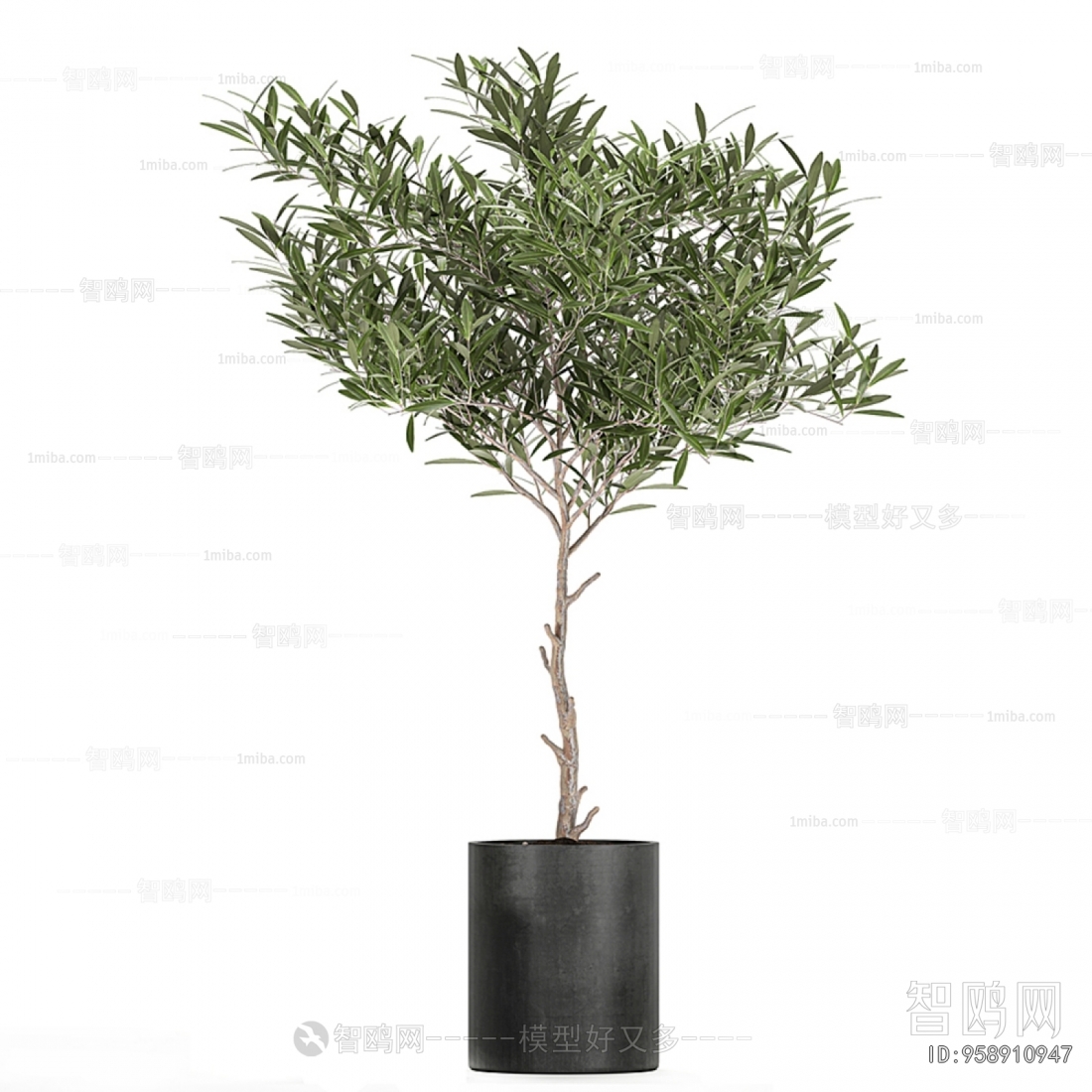 Modern Ground Green Plant Potted Plants