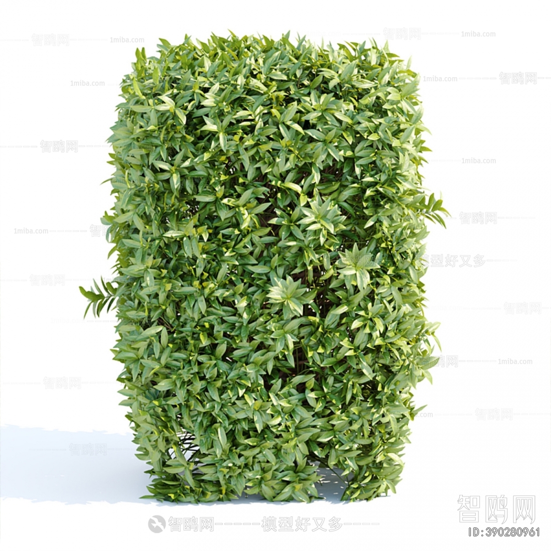 Modern Shrubbery