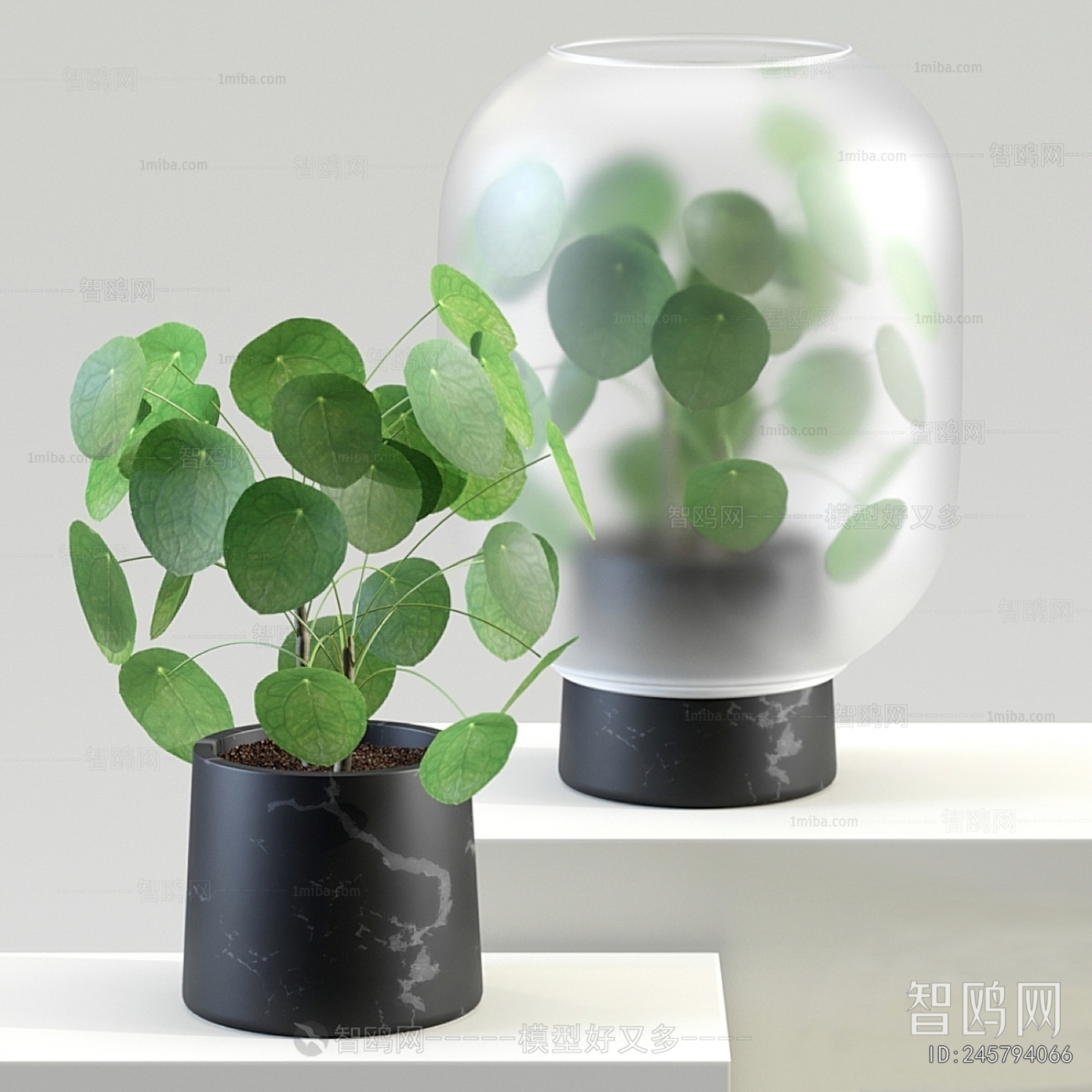 Modern Desktop Plant