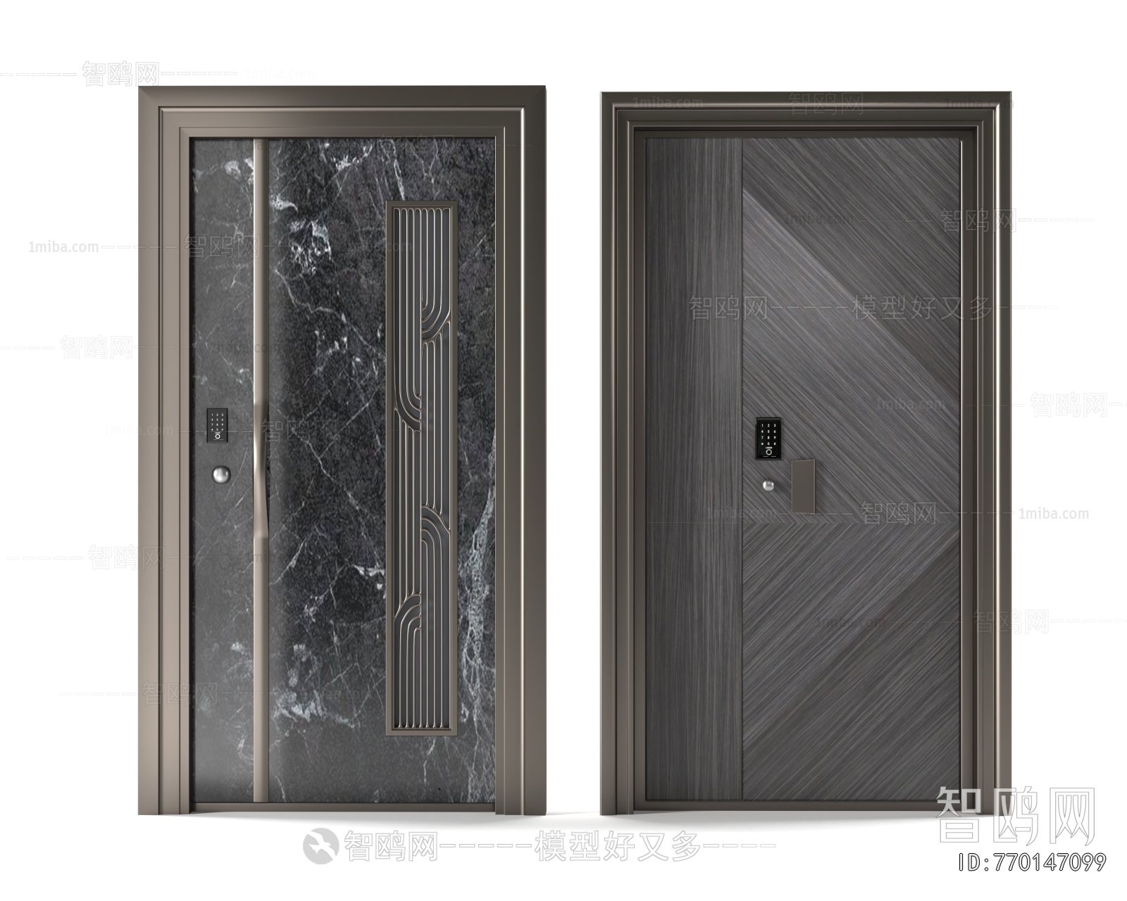 Modern Entrance Door