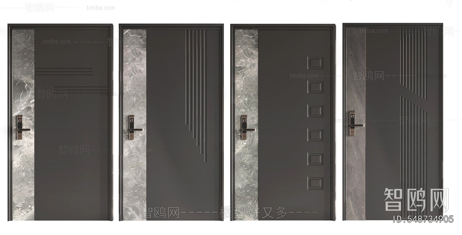 Modern Entrance Door