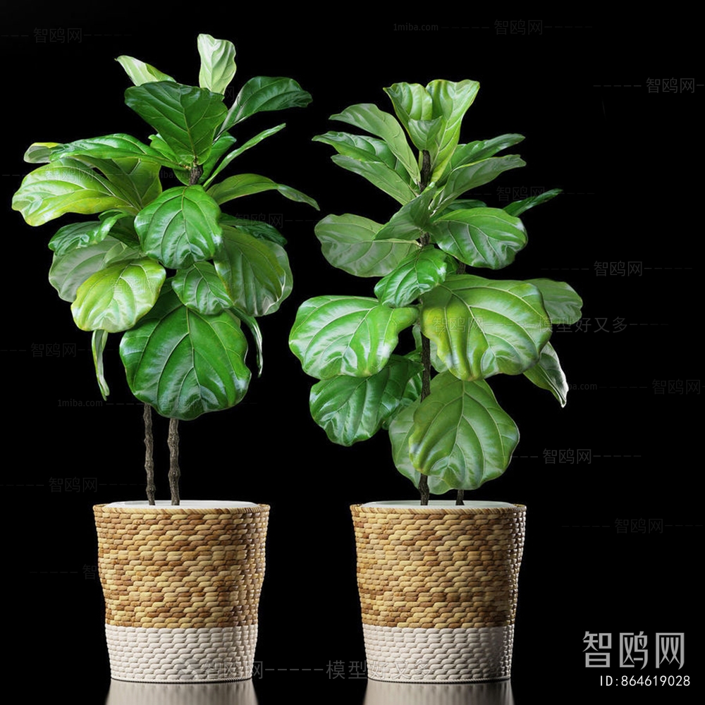 Modern Potted Green Plant