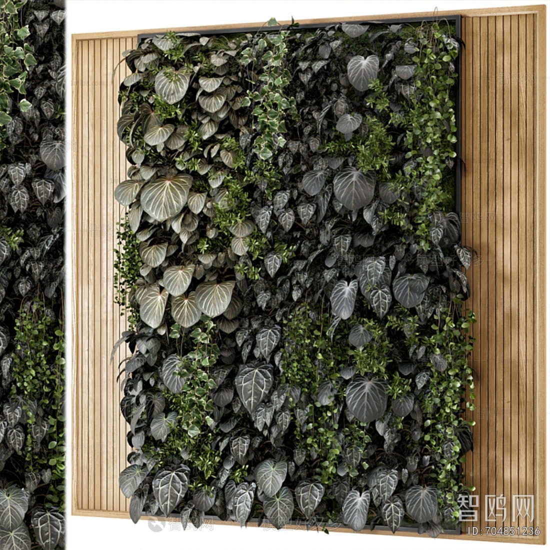 Modern Plant Wall