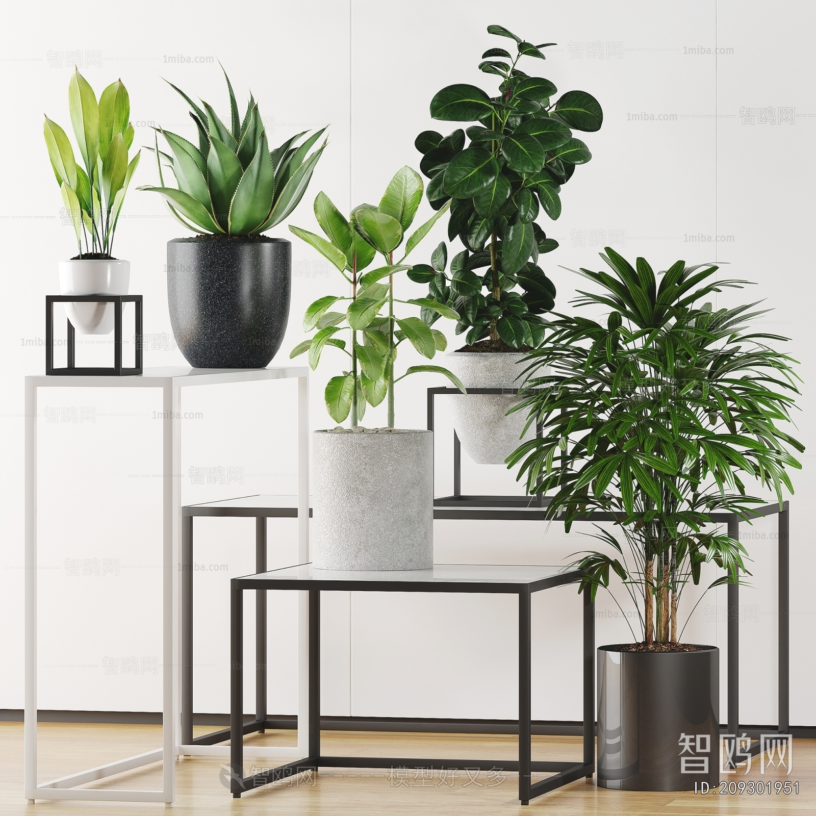 Modern Potted Green Plant