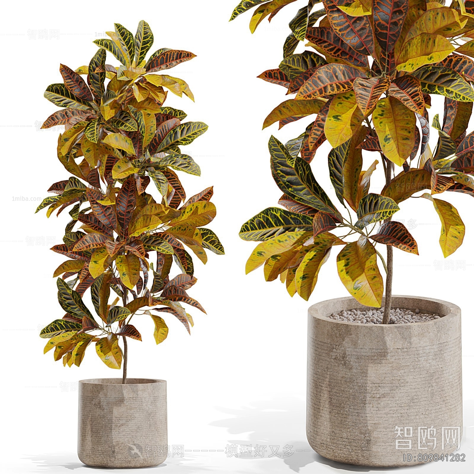 Modern Ground Green Plant Potted Plants