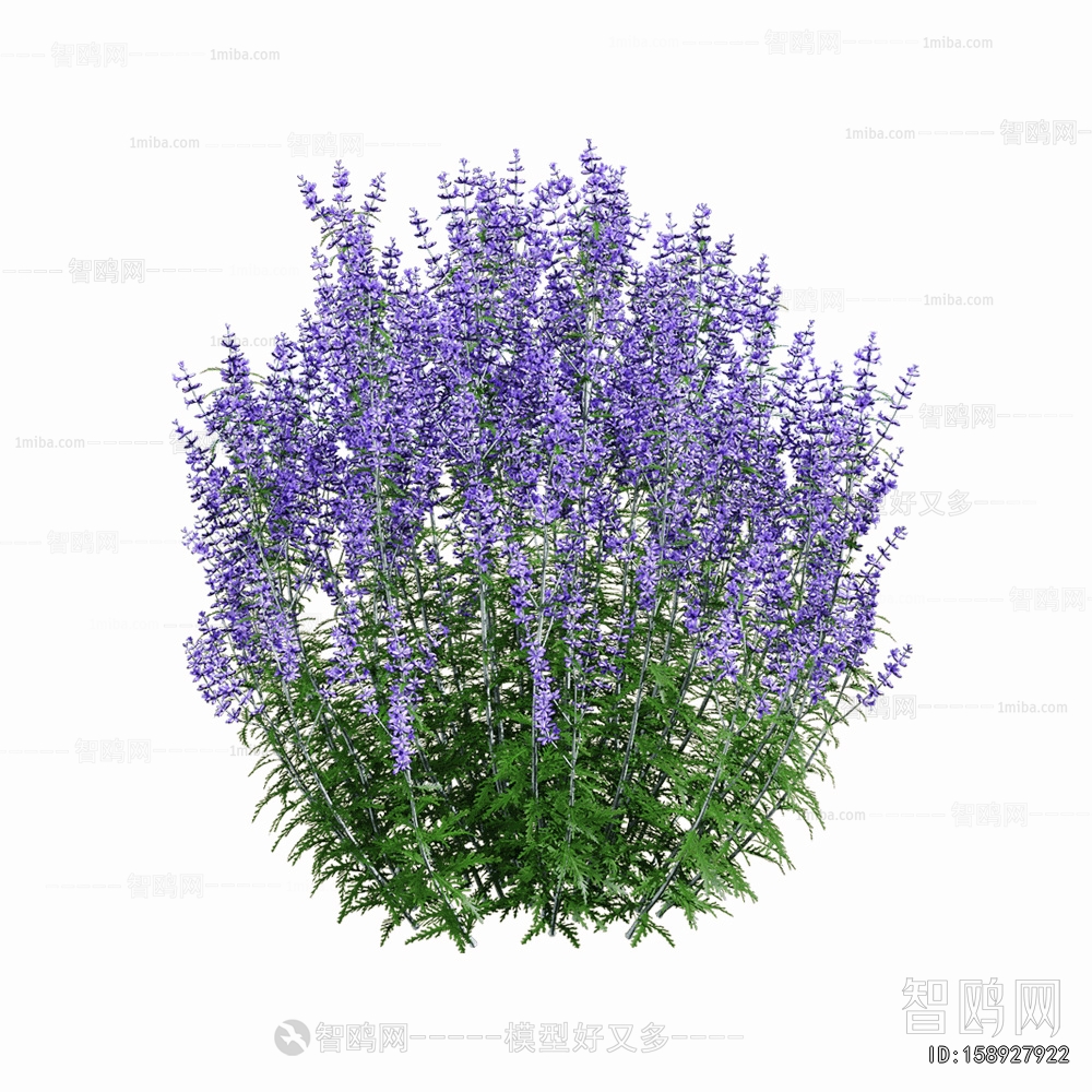 Modern Flowers And Grass