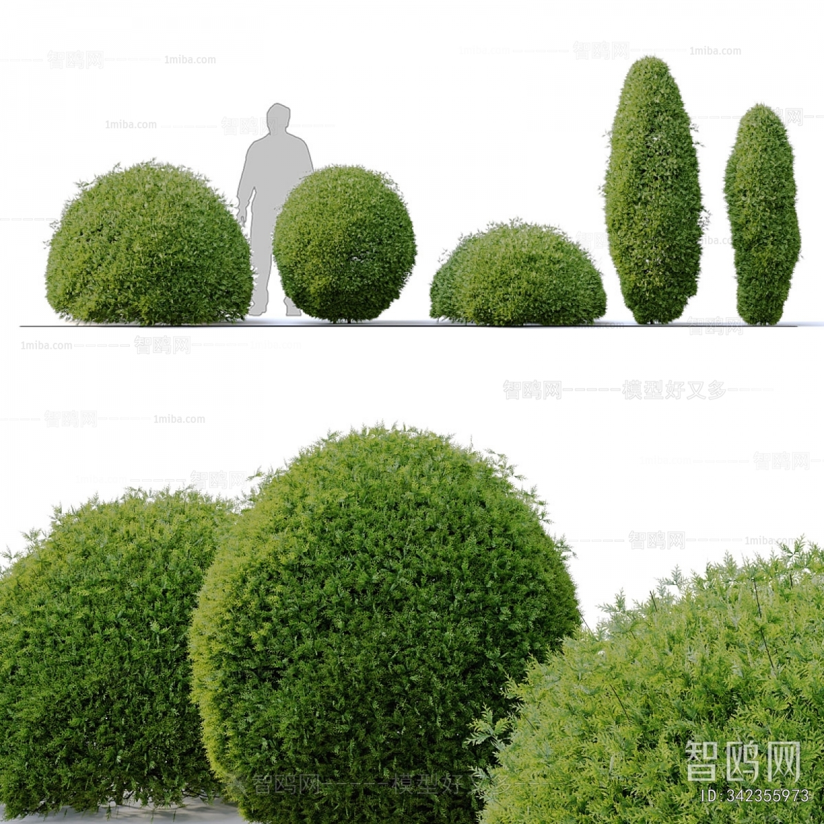 Modern Shrubbery