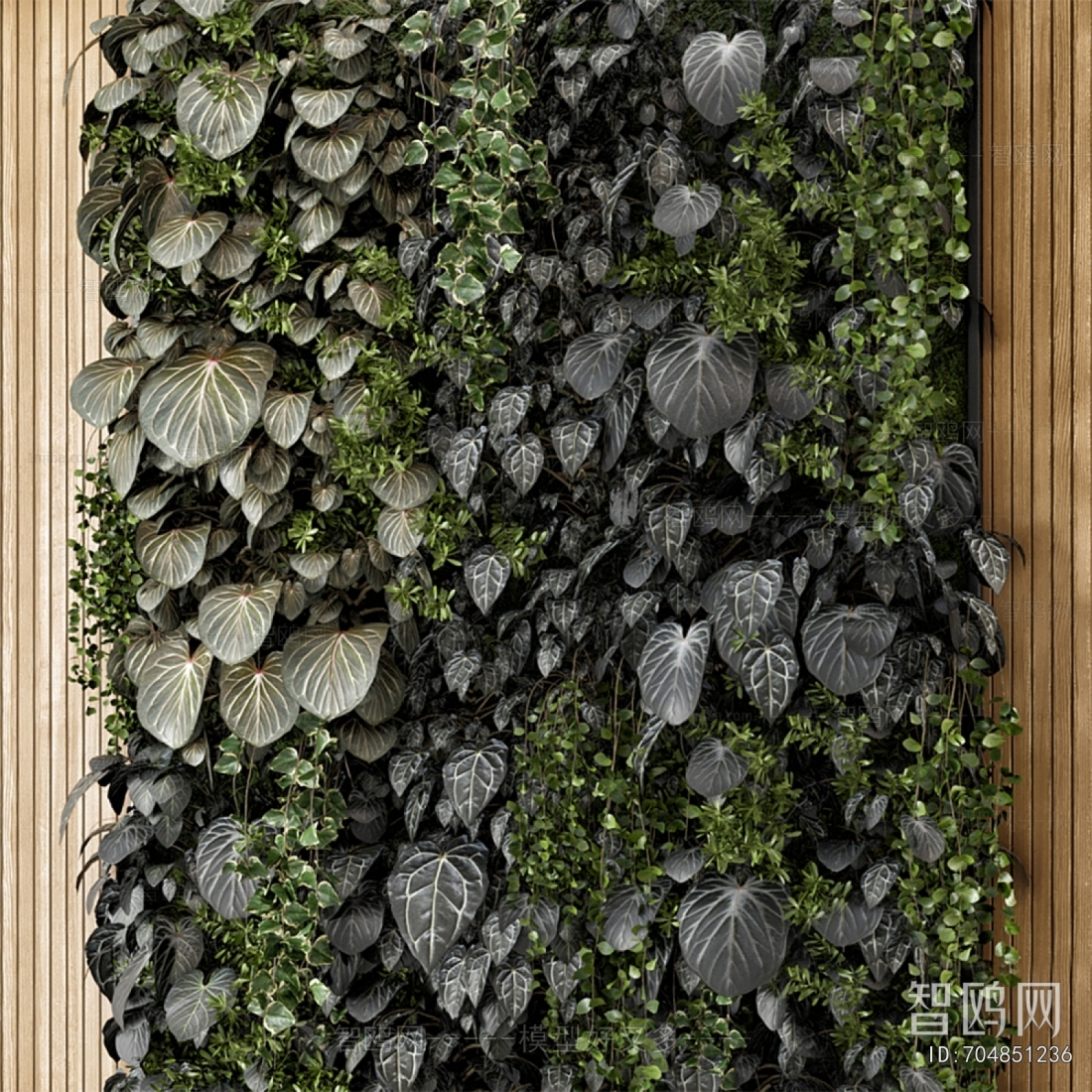 Modern Plant Wall