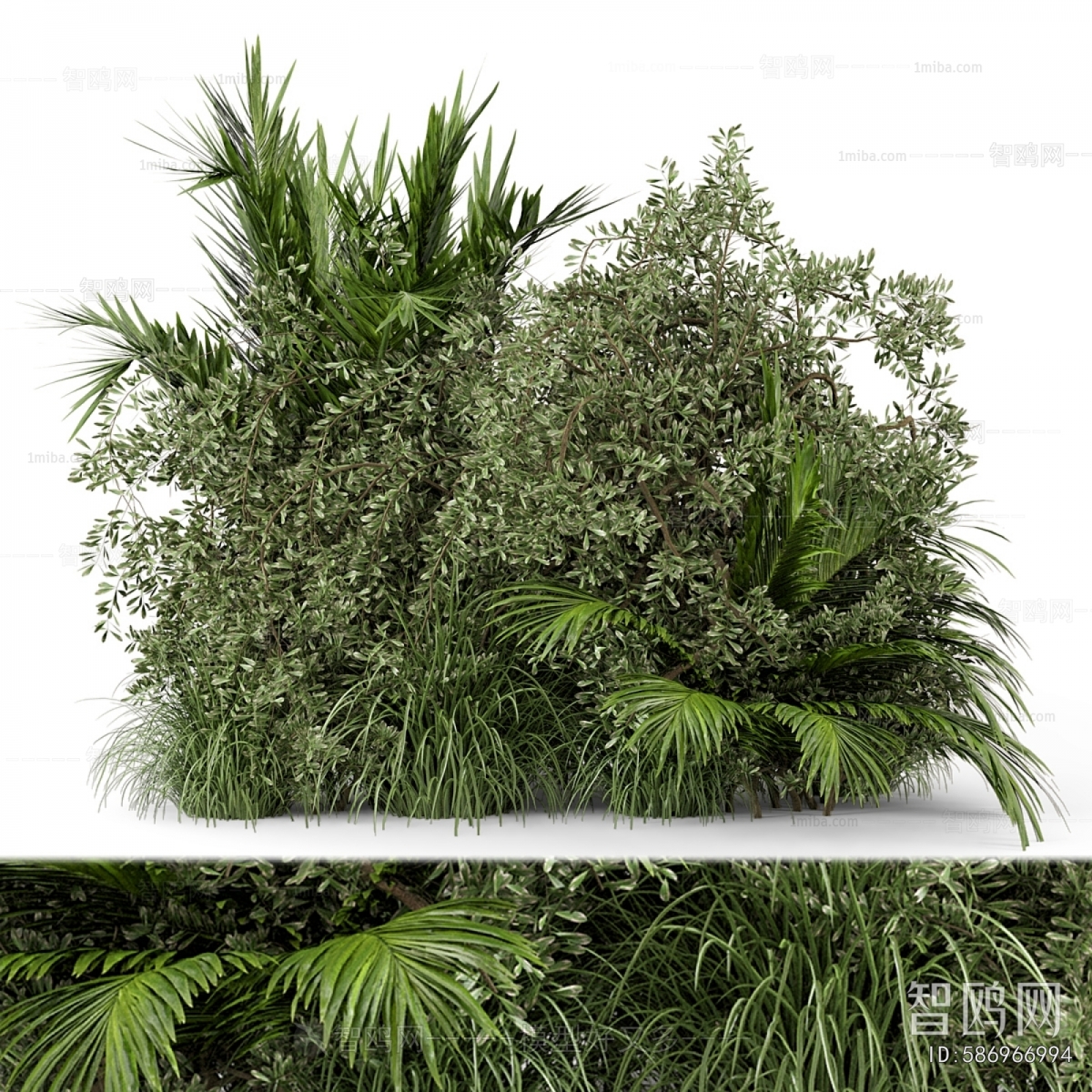 Modern Shrubbery