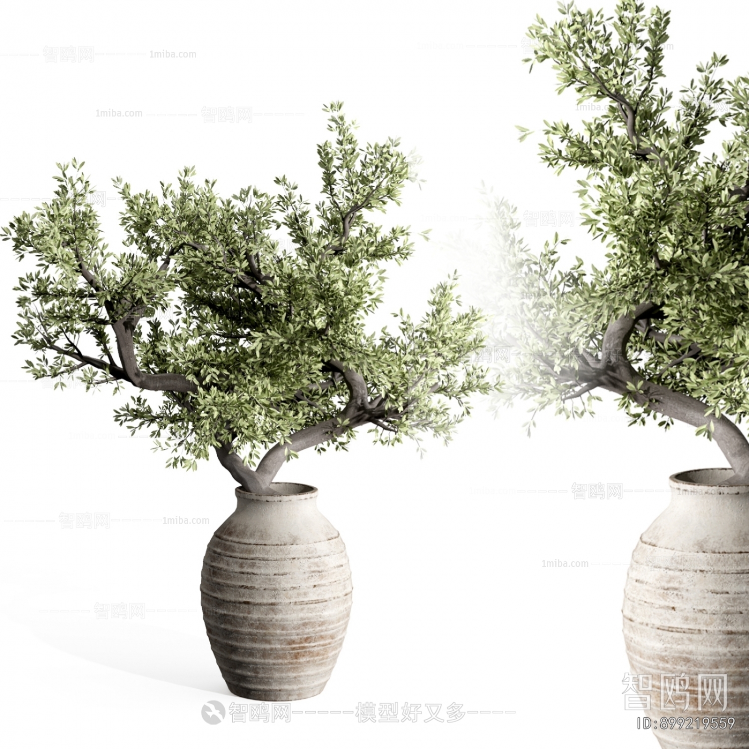 Modern Potted Green Plant