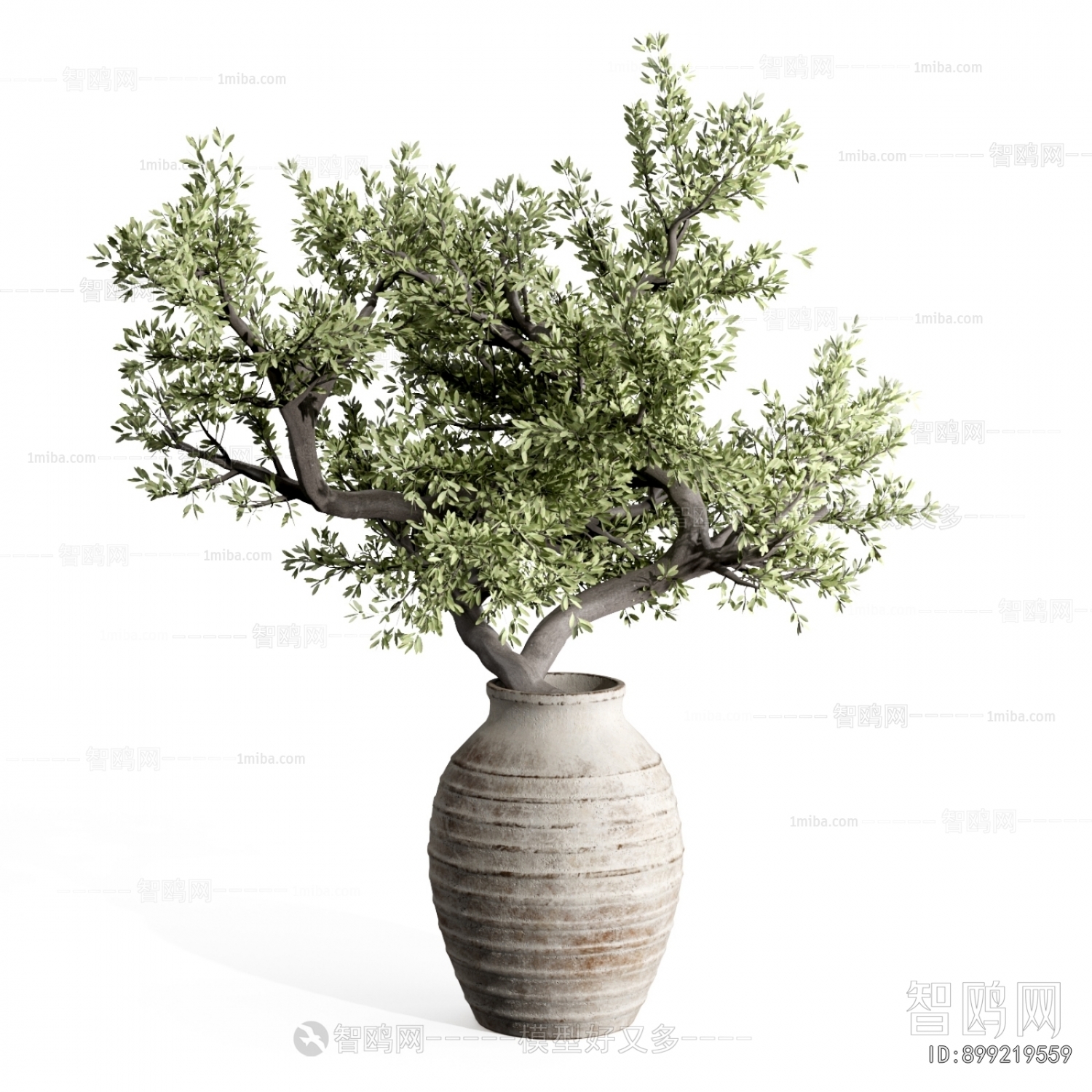 Modern Potted Green Plant