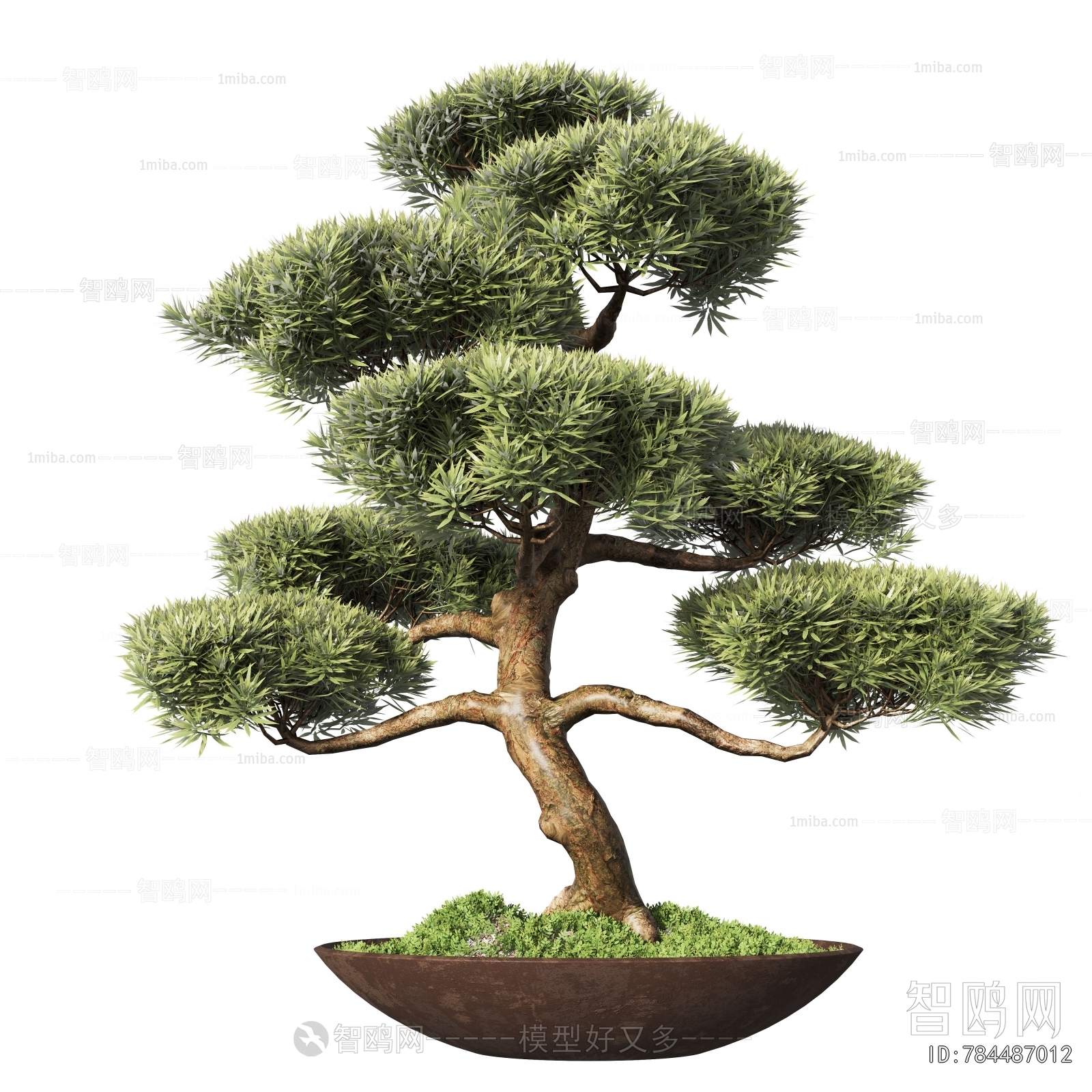 Modern Bonsai