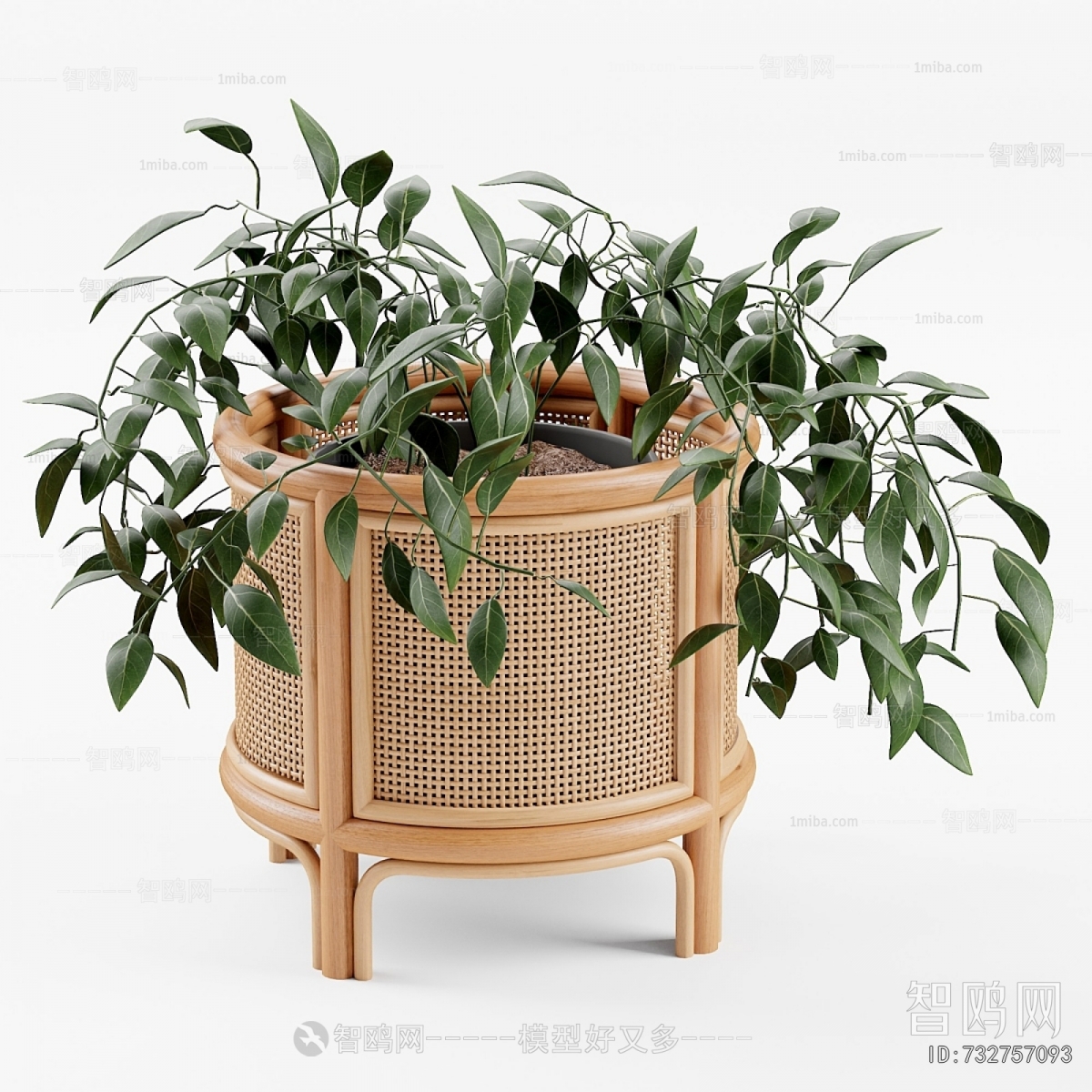 Modern Ground Green Plant Potted Plants