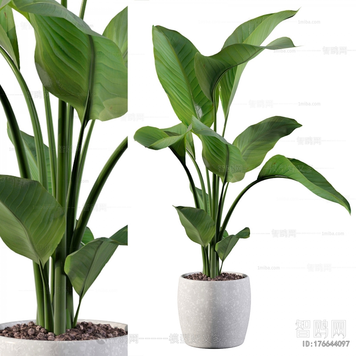 Modern Ground Green Plant Potted Plants