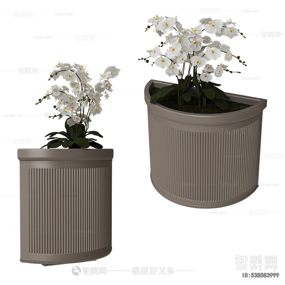 Modern Potted Green Plant