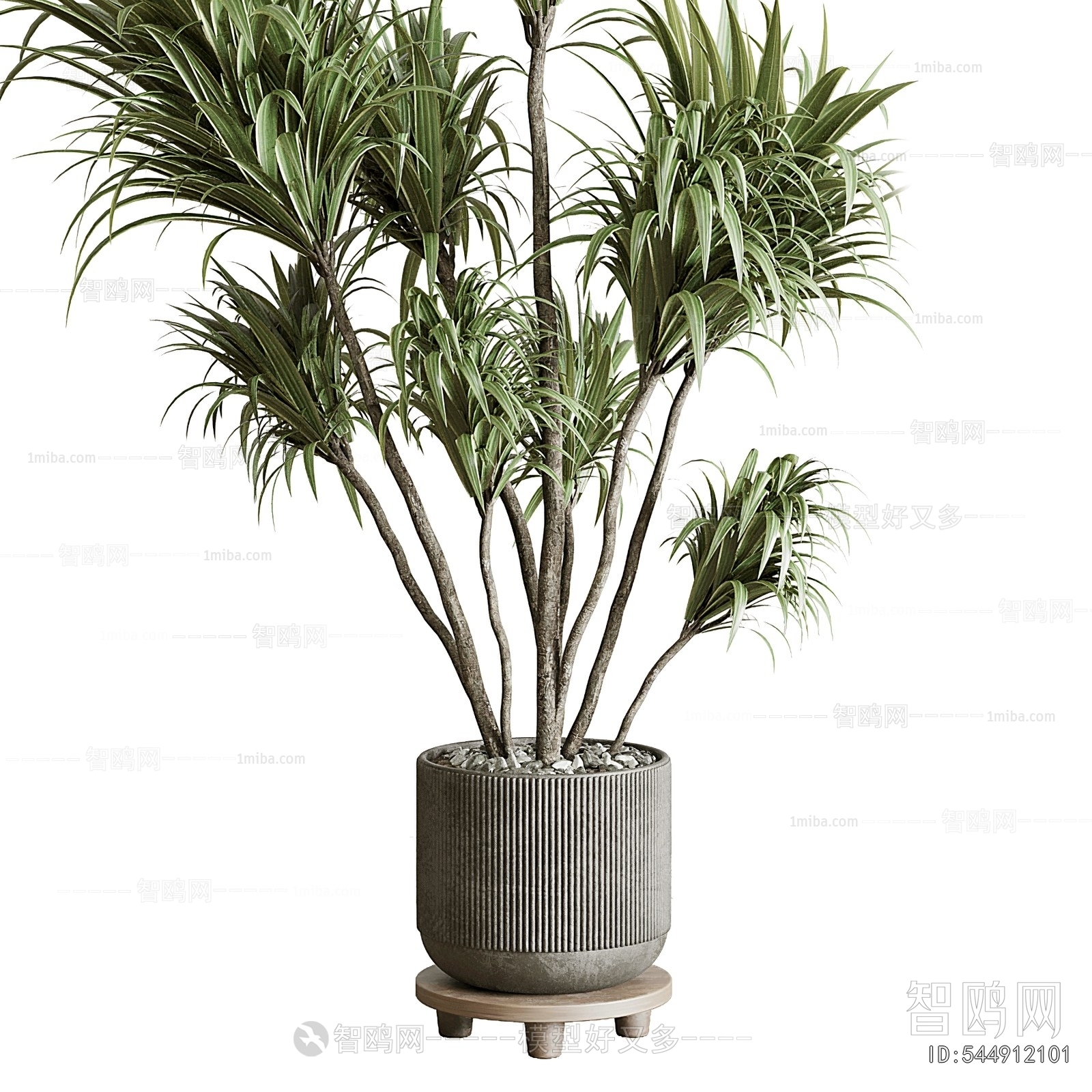 Modern Potted Green Plant