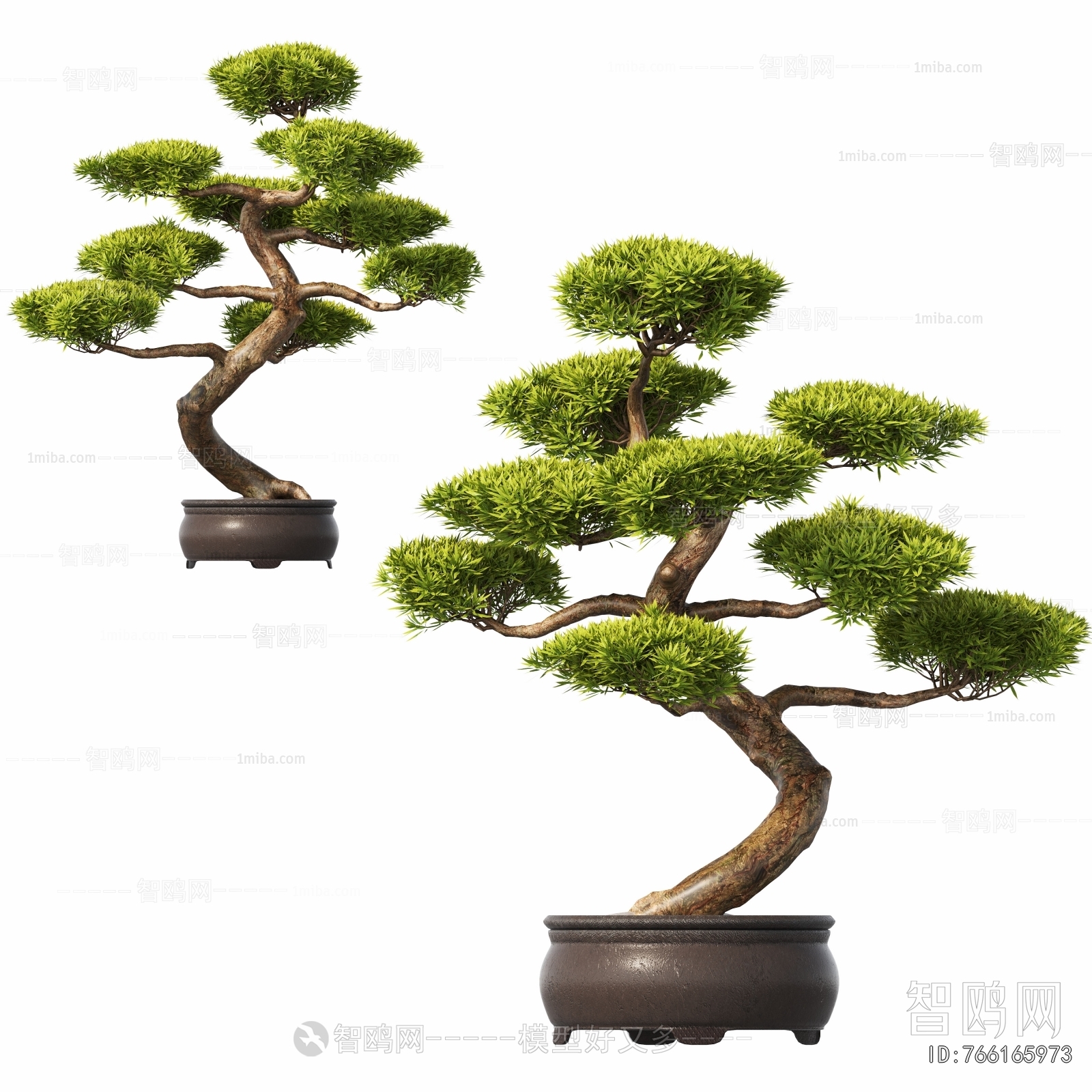 Modern Bonsai