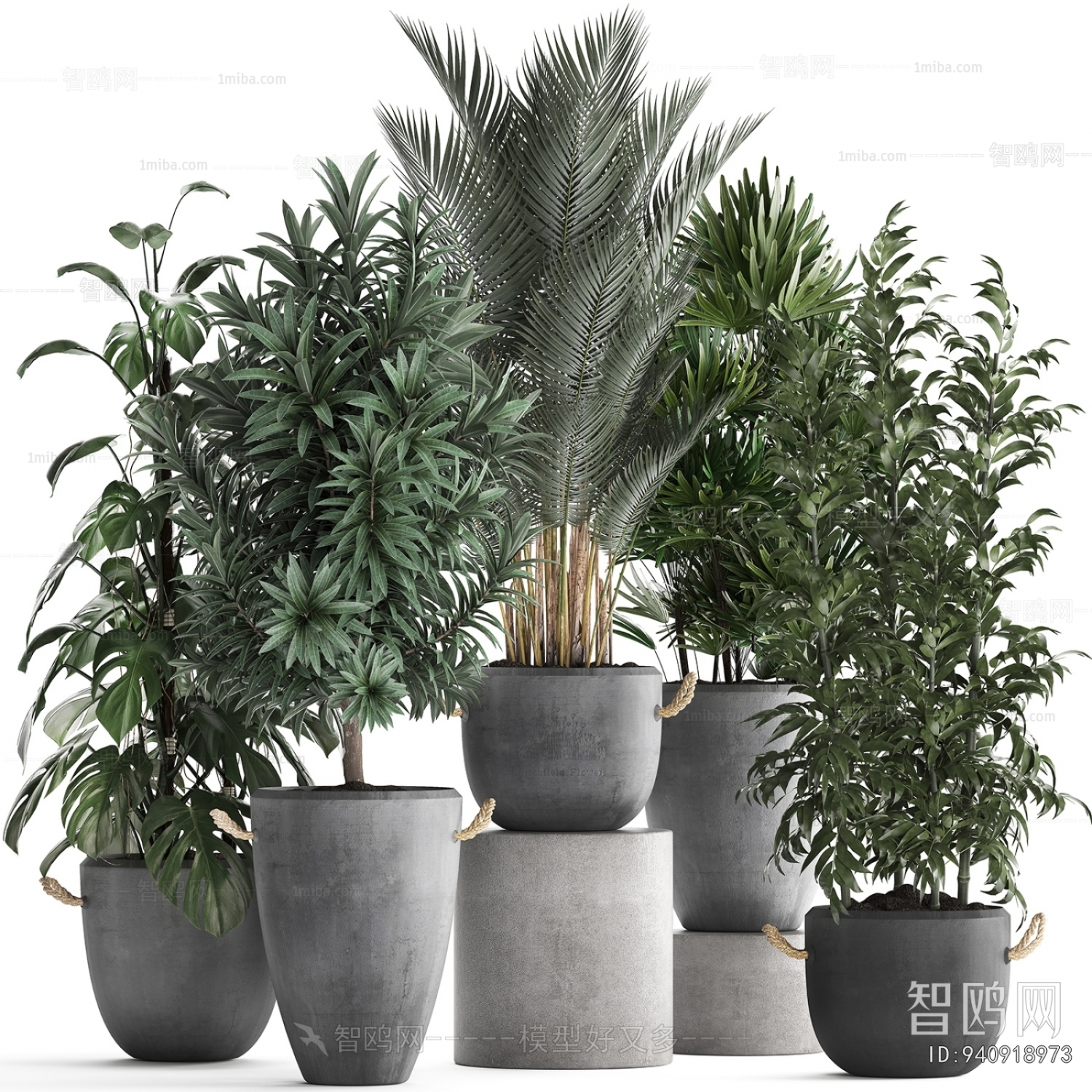 Modern Potted Green Plant